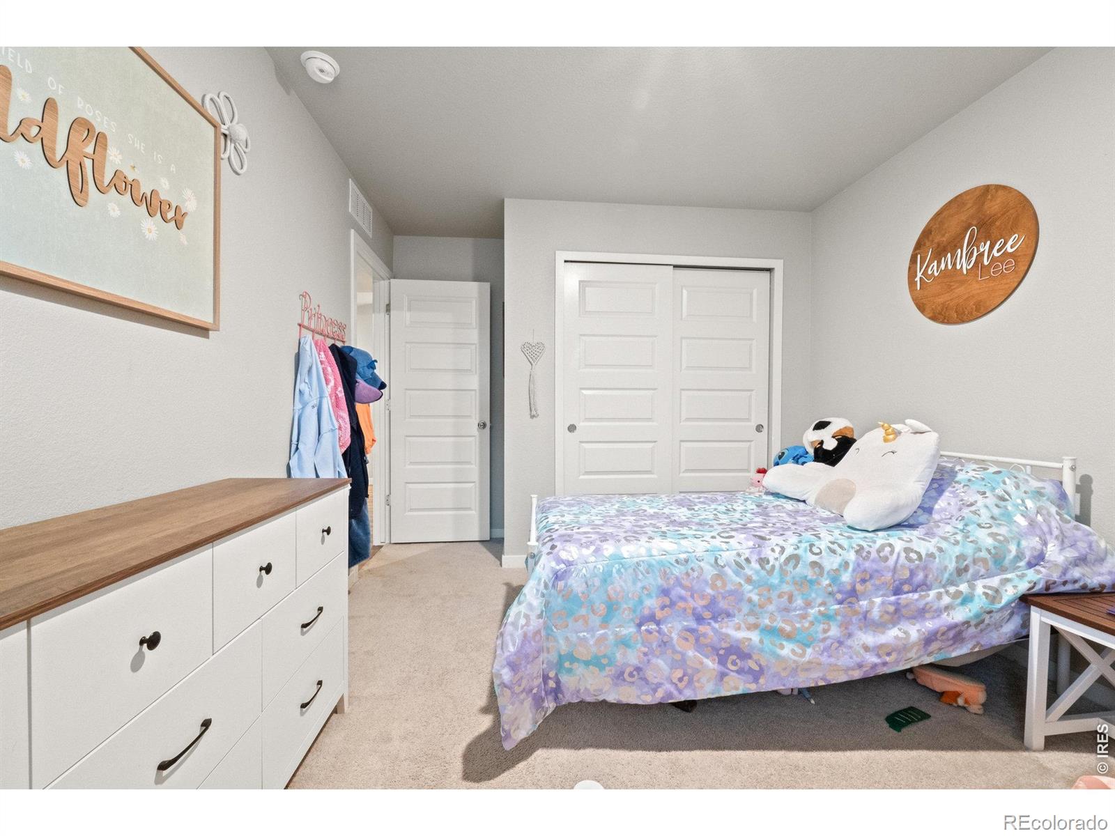 MLS Image #26 for 1123  cottontail lane,wiggins, Colorado