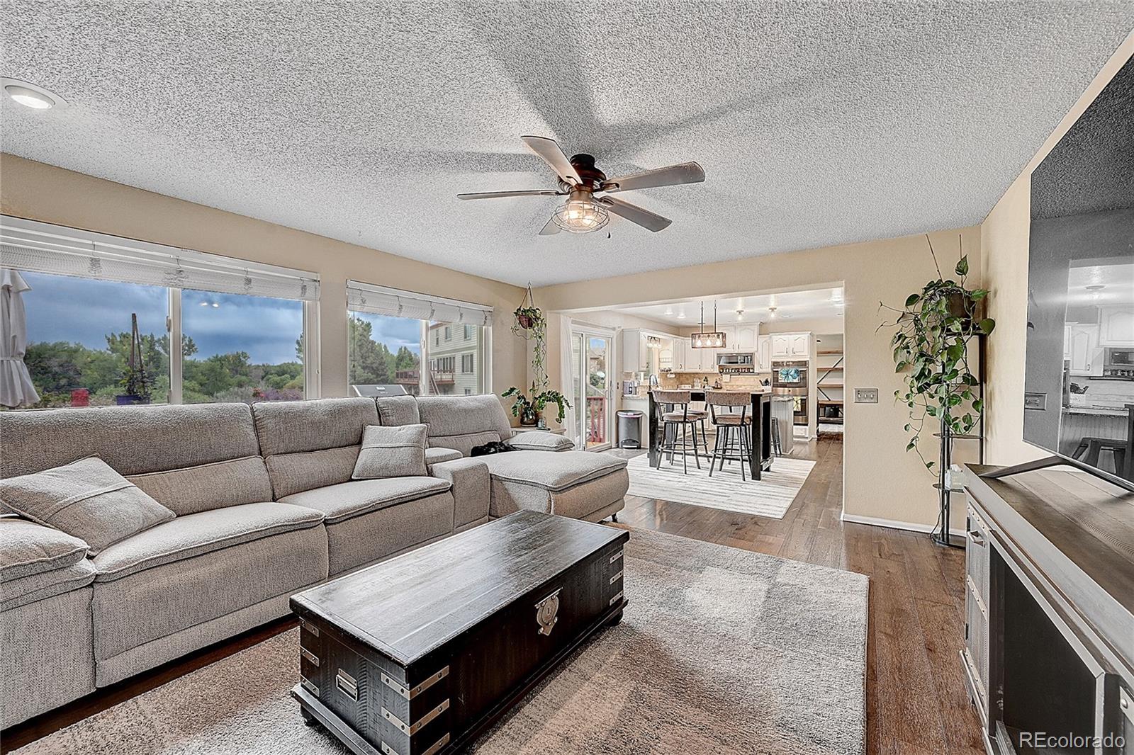 MLS Image #12 for 10510  paxton court,parker, Colorado