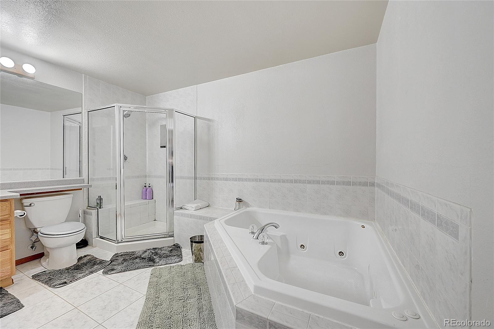 MLS Image #18 for 10510  paxton court,parker, Colorado