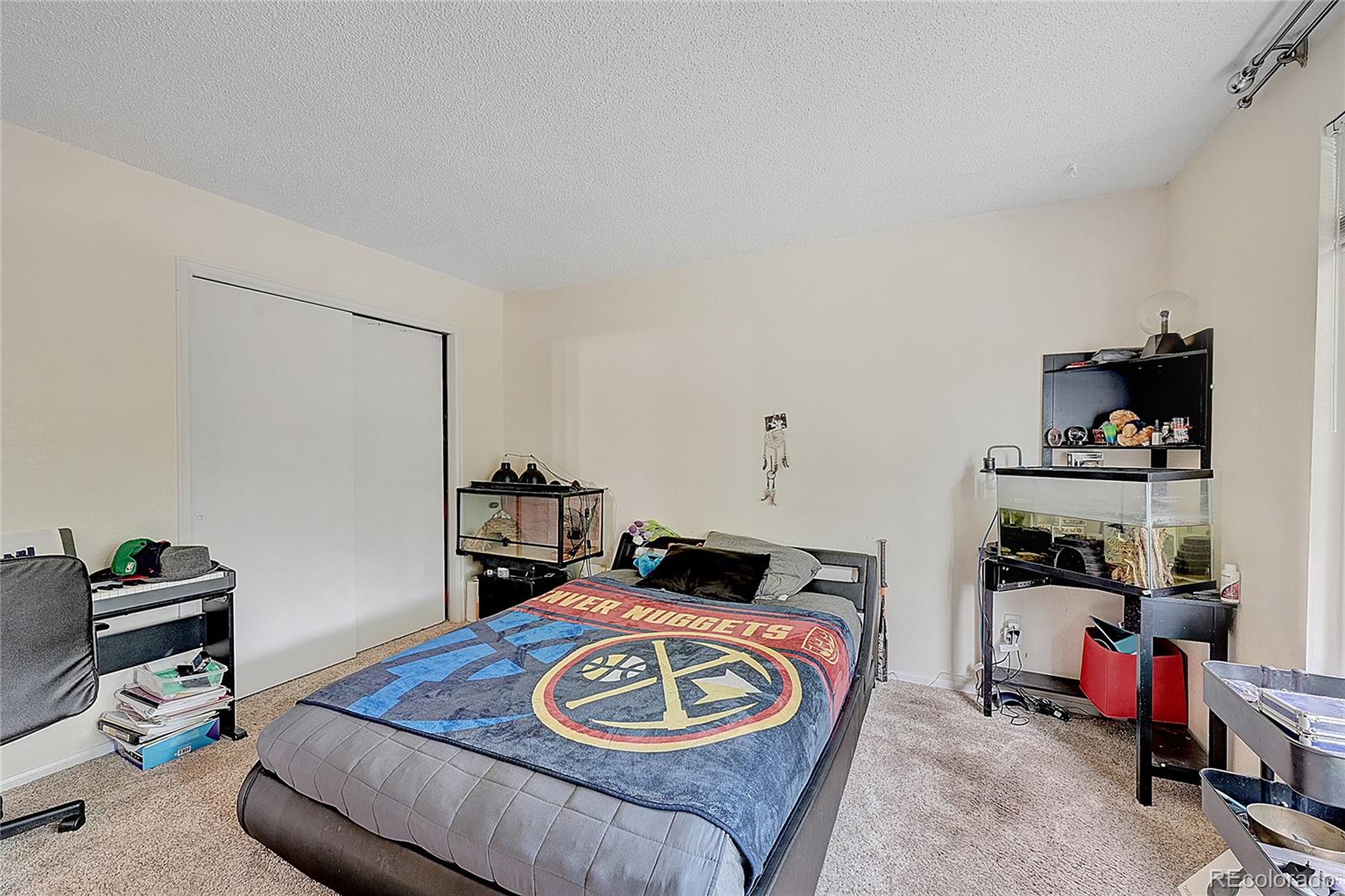 MLS Image #21 for 10510  paxton court,parker, Colorado