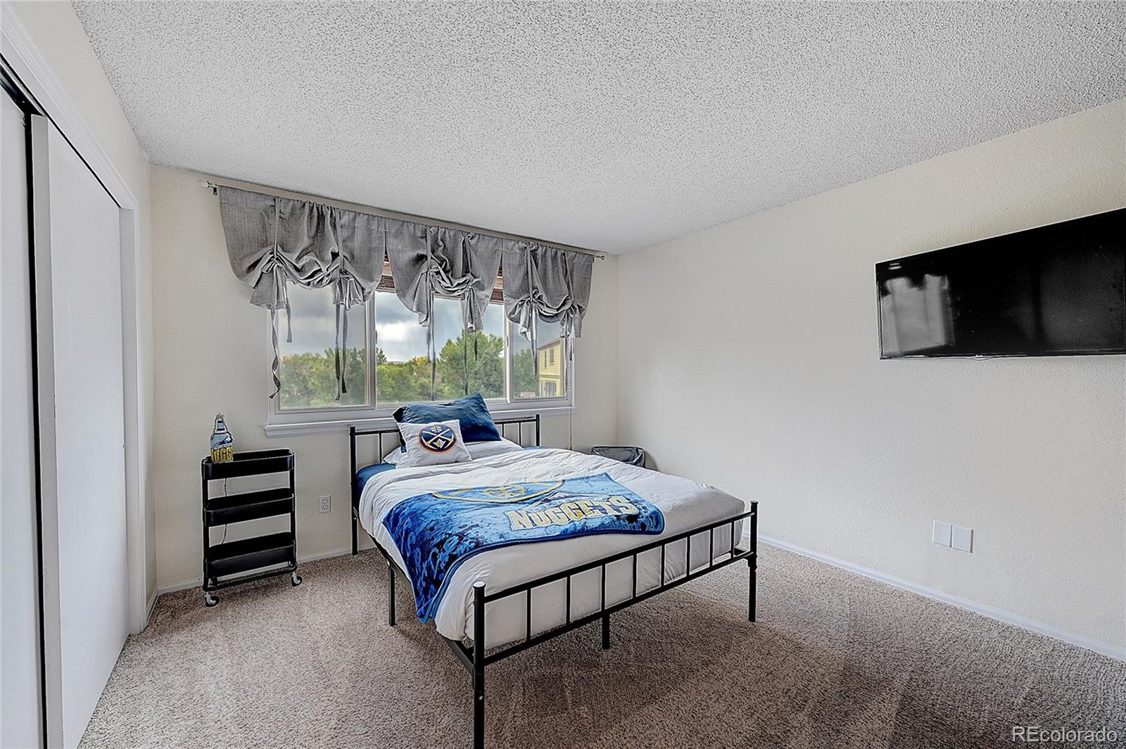 MLS Image #25 for 10510  paxton court,parker, Colorado