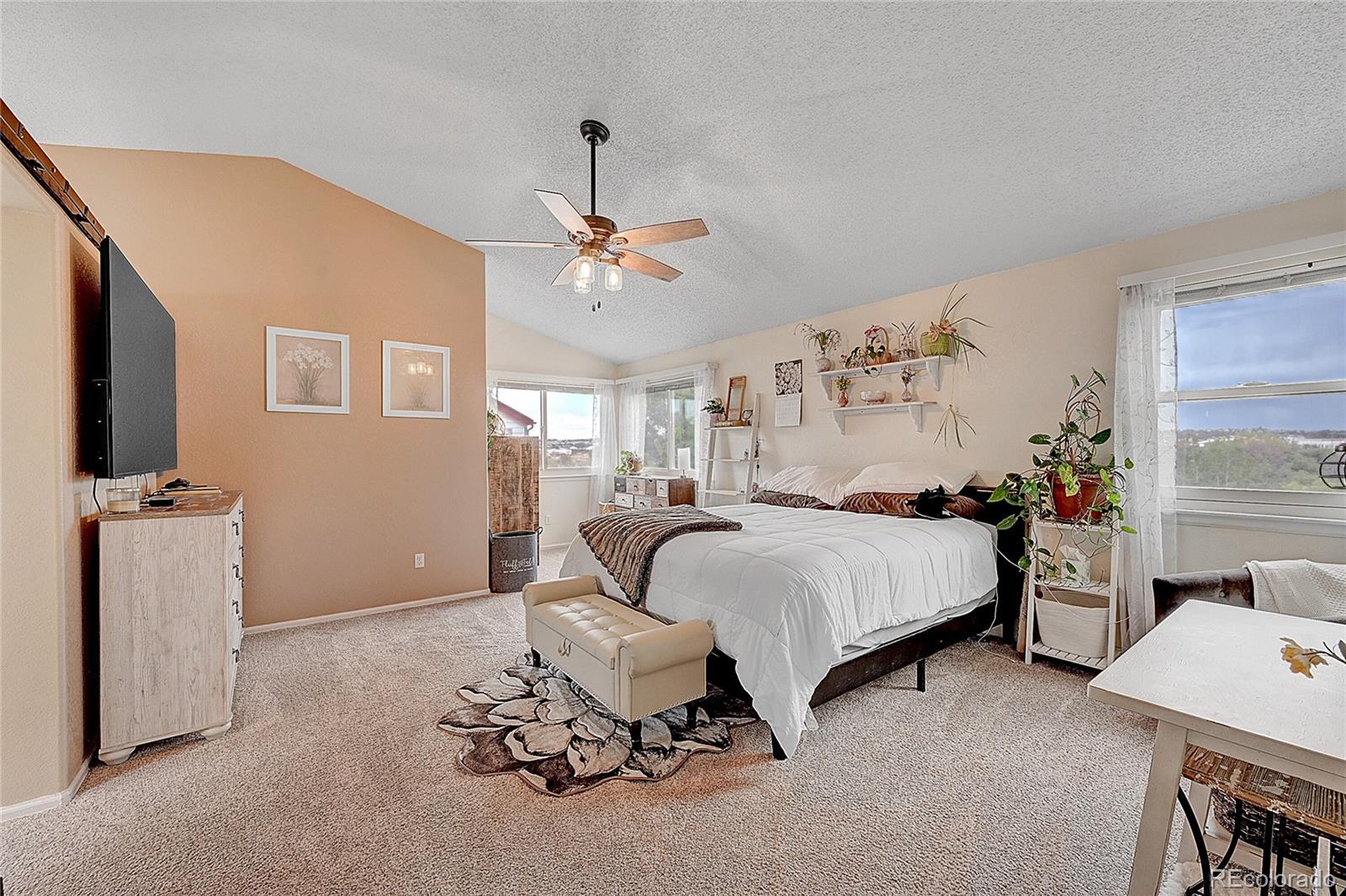 MLS Image #28 for 10510  paxton court,parker, Colorado