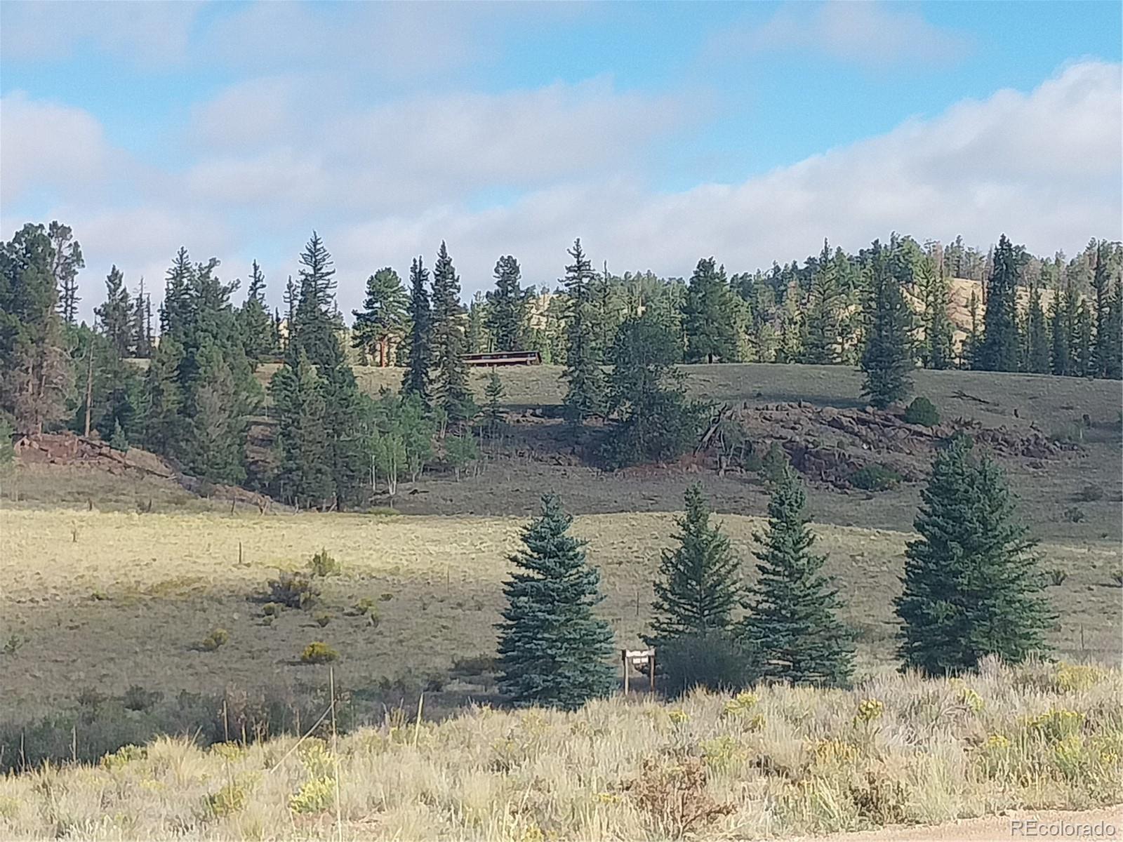 MLS Image #0 for 1167  latigo loop,hartsel, Colorado