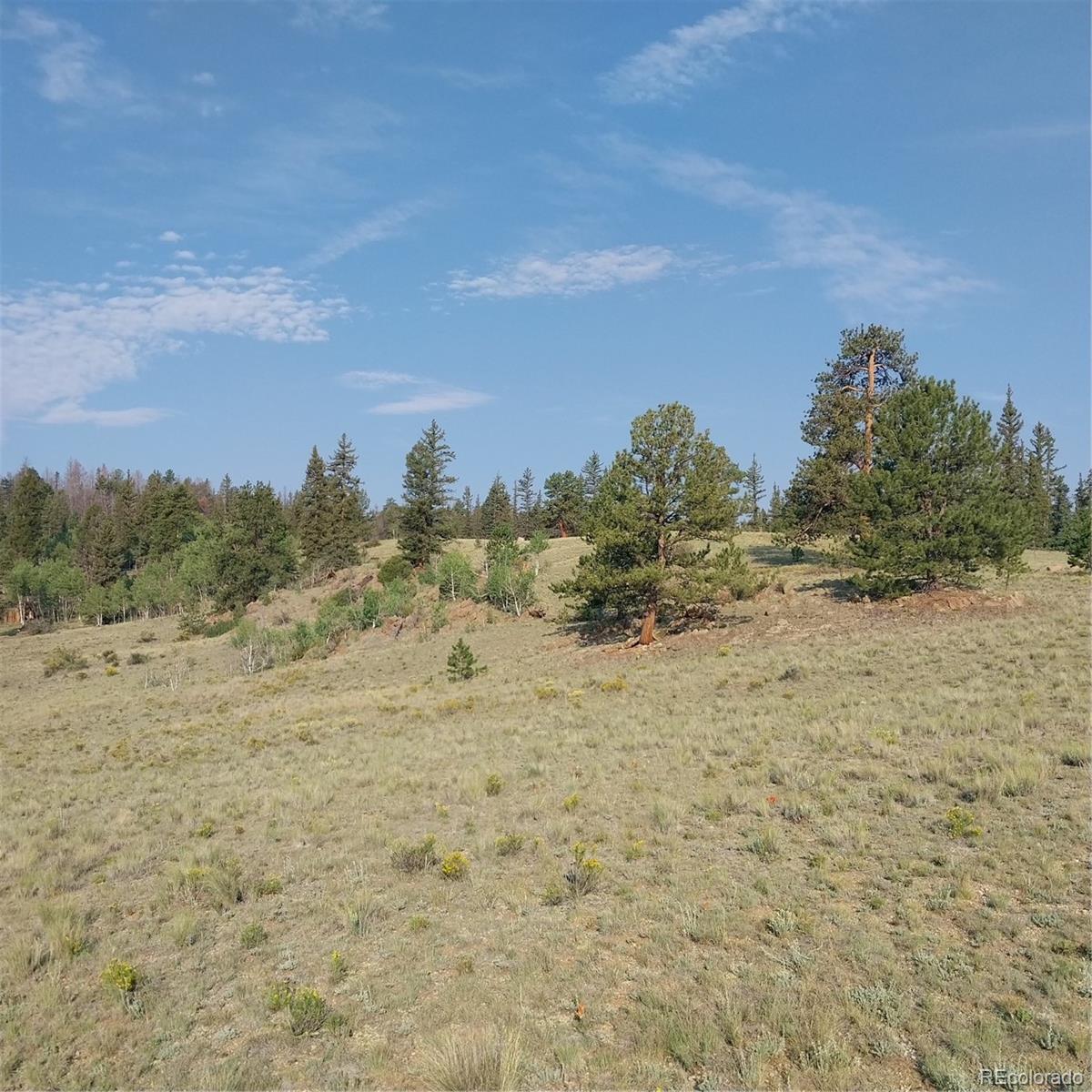 MLS Image #14 for 1167  latigo loop,hartsel, Colorado