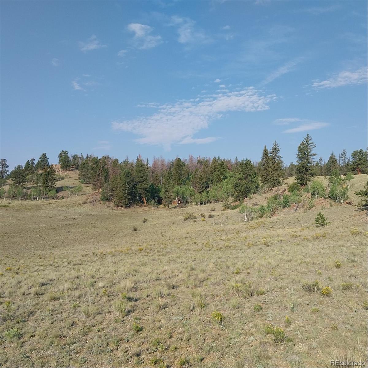 MLS Image #15 for 1167  latigo loop,hartsel, Colorado