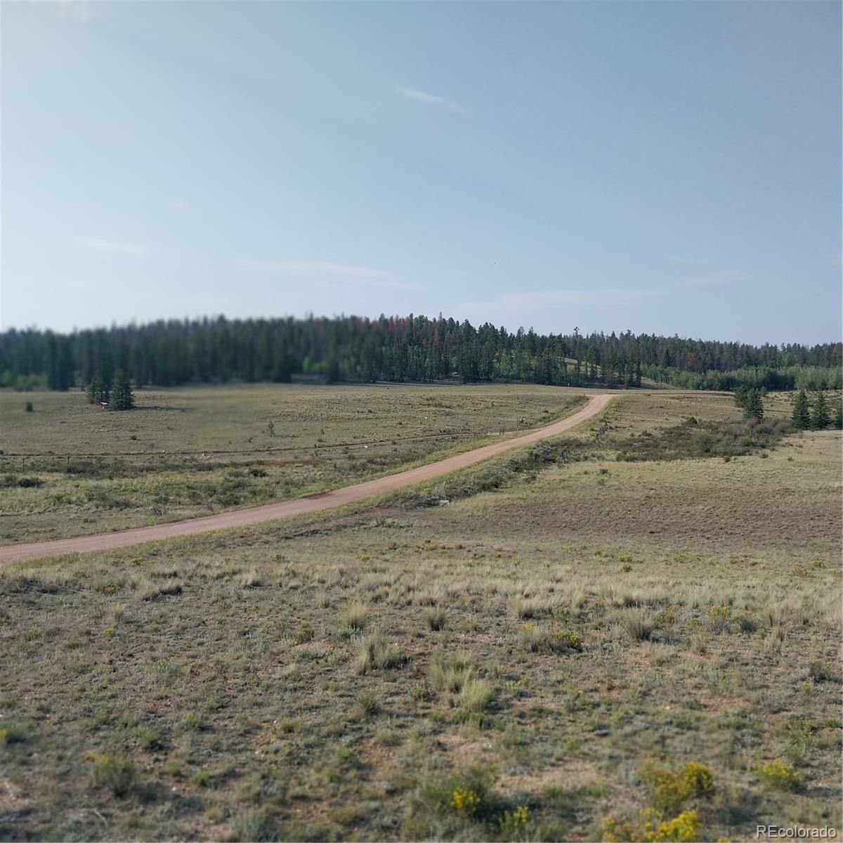 MLS Image #16 for 1167  latigo loop,hartsel, Colorado