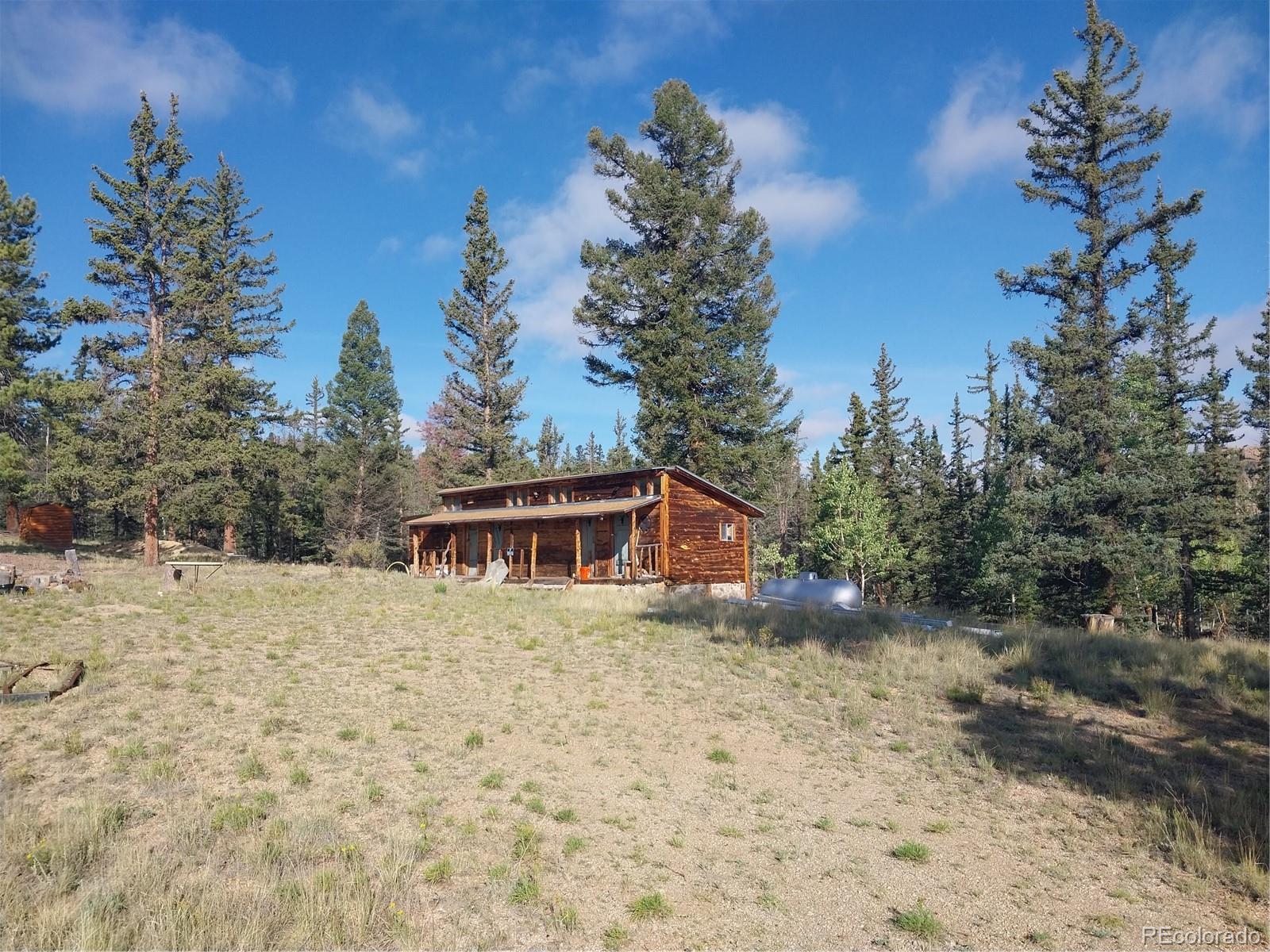 MLS Image #17 for 1167  latigo loop,hartsel, Colorado