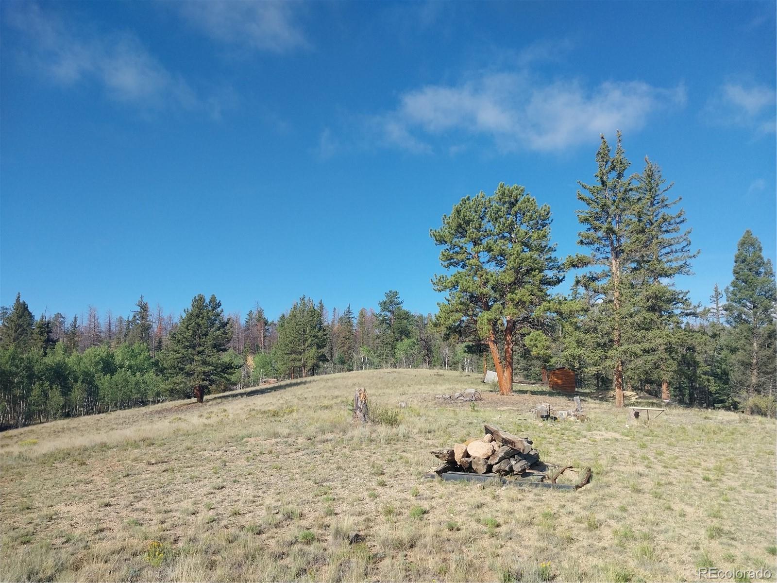 MLS Image #18 for 1167  latigo loop,hartsel, Colorado