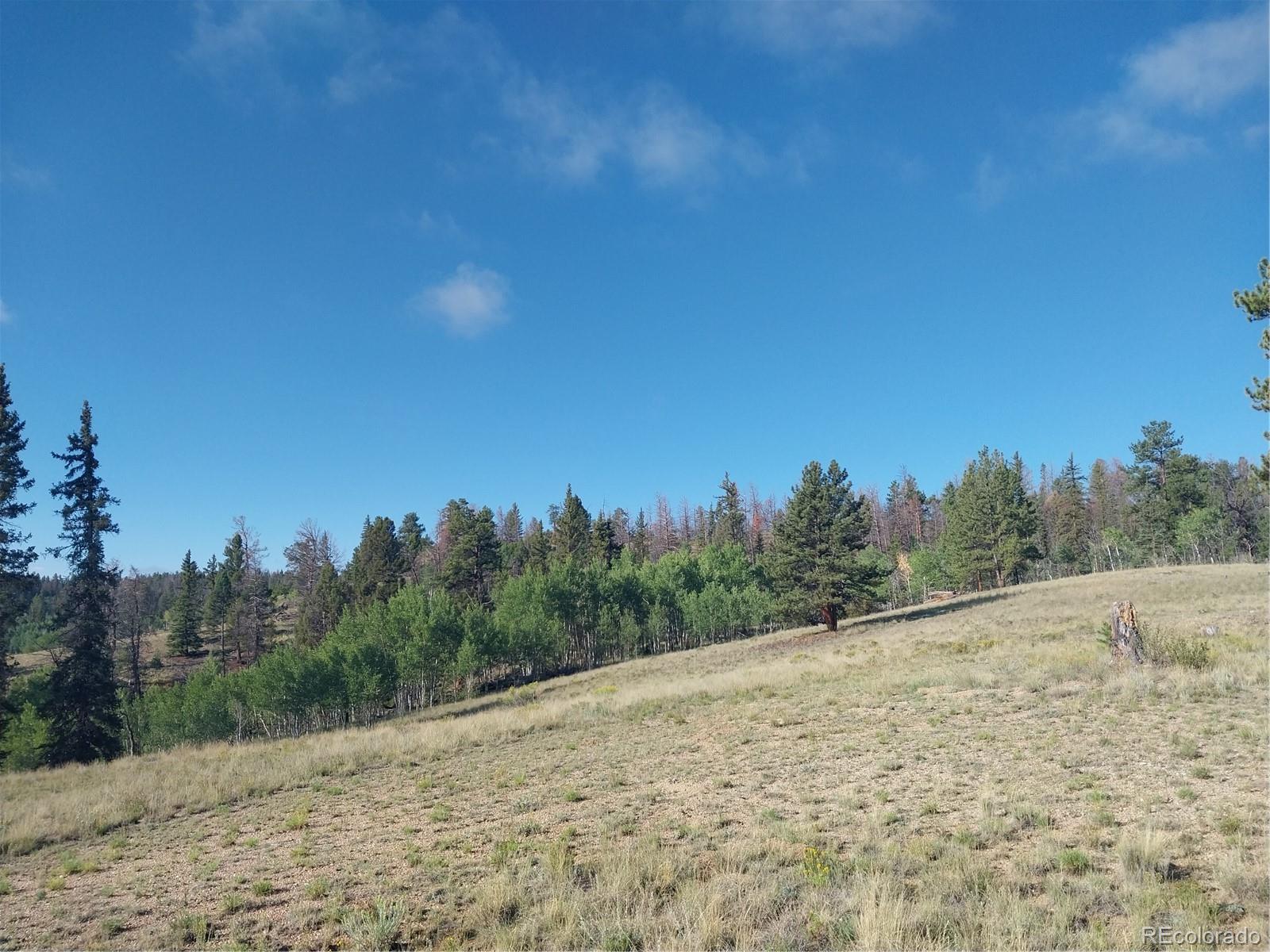 MLS Image #19 for 1167  latigo loop,hartsel, Colorado