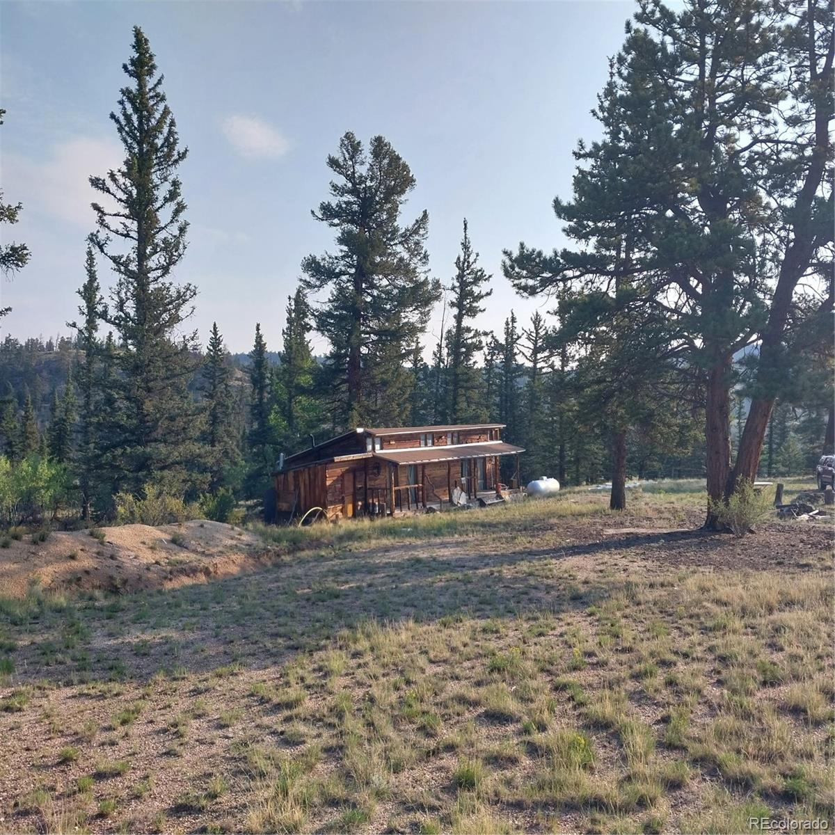 MLS Image #2 for 1167  latigo loop,hartsel, Colorado