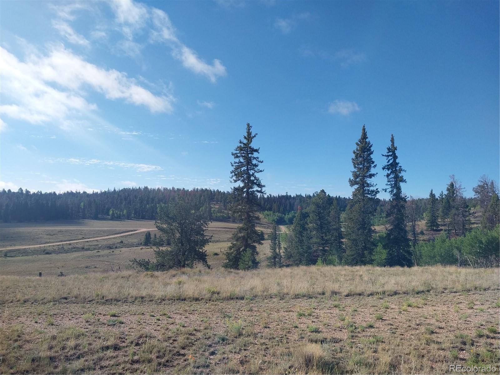 MLS Image #20 for 1167  latigo loop,hartsel, Colorado