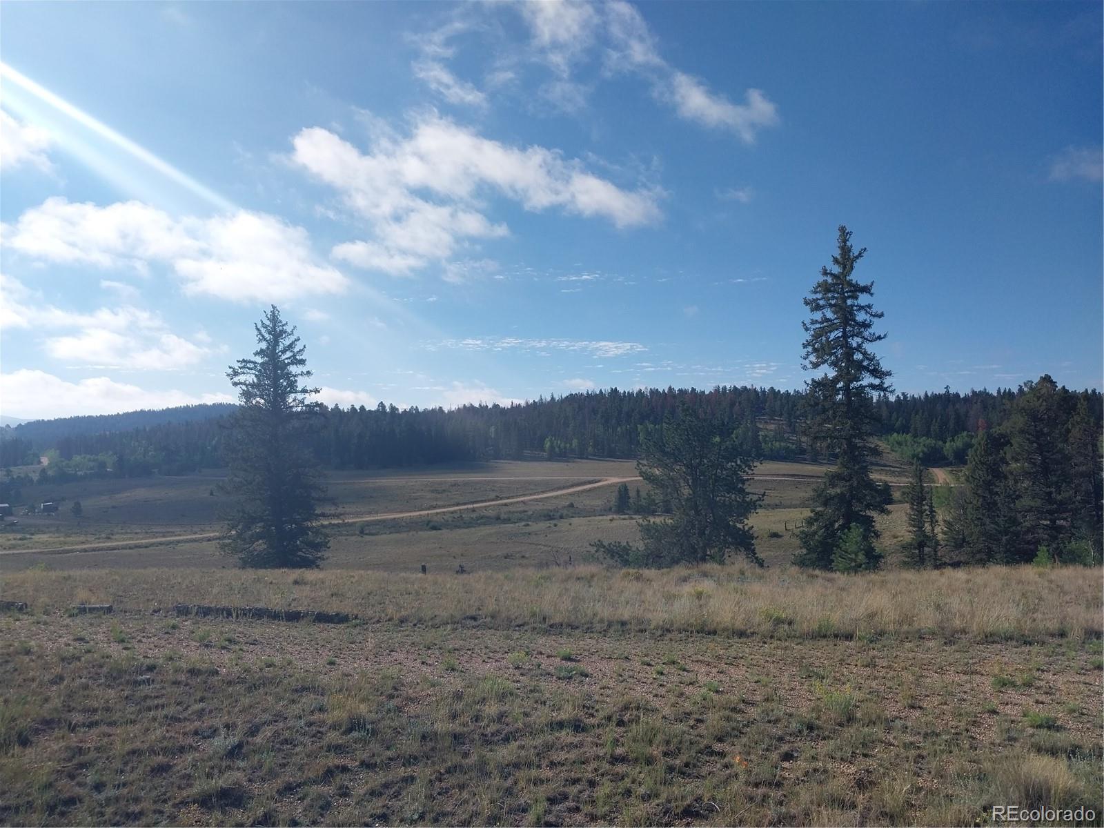 MLS Image #21 for 1167  latigo loop,hartsel, Colorado