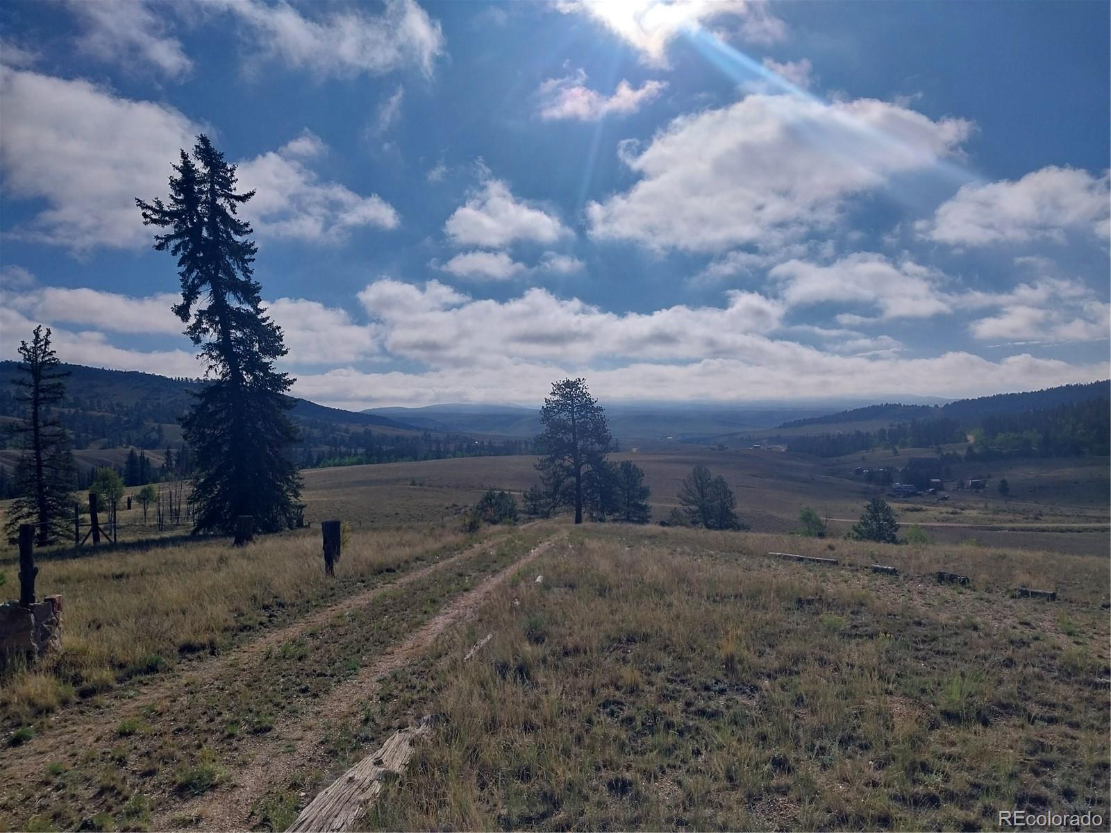 MLS Image #22 for 1167  latigo loop,hartsel, Colorado