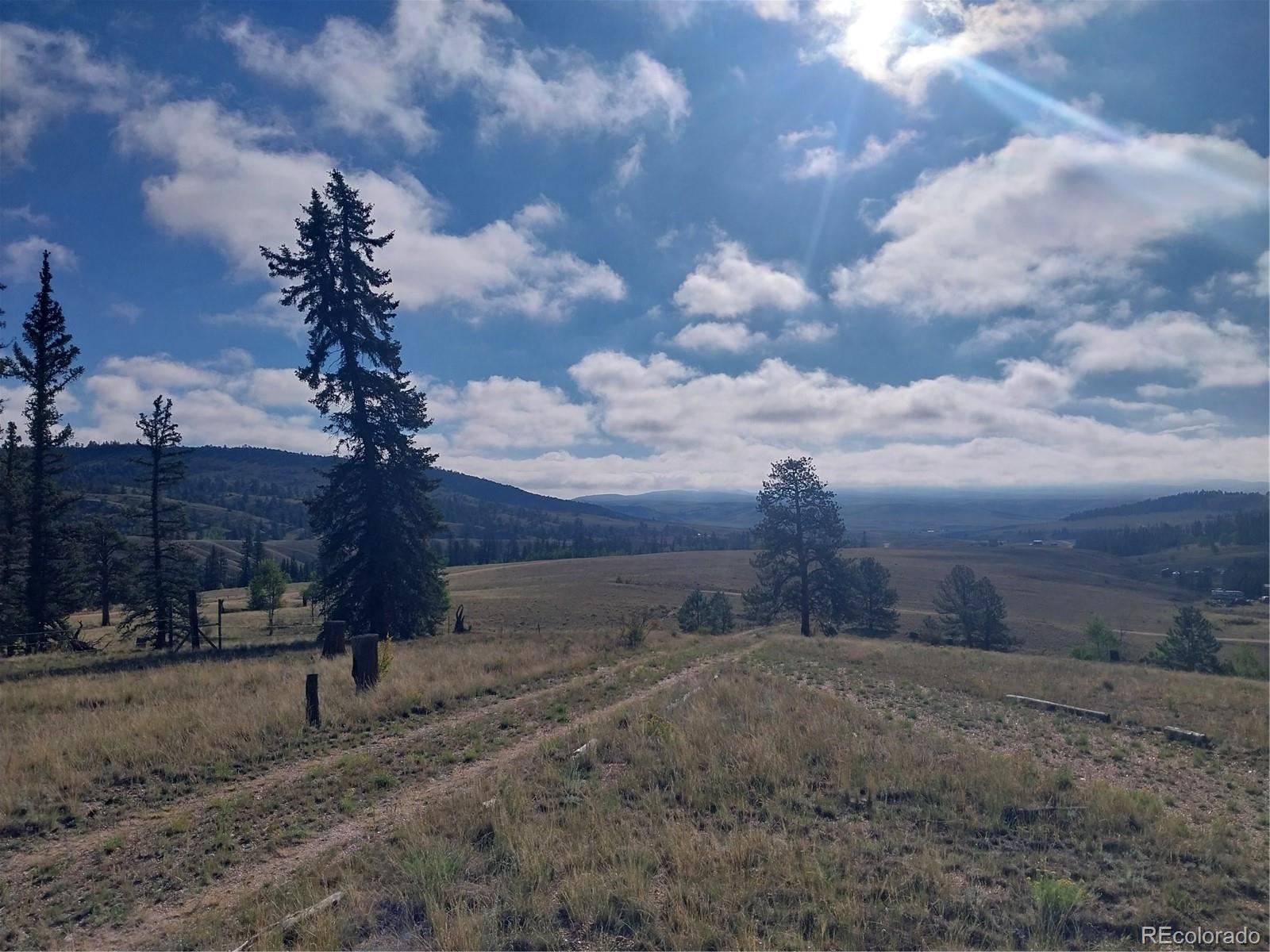 MLS Image #23 for 1167  latigo loop,hartsel, Colorado