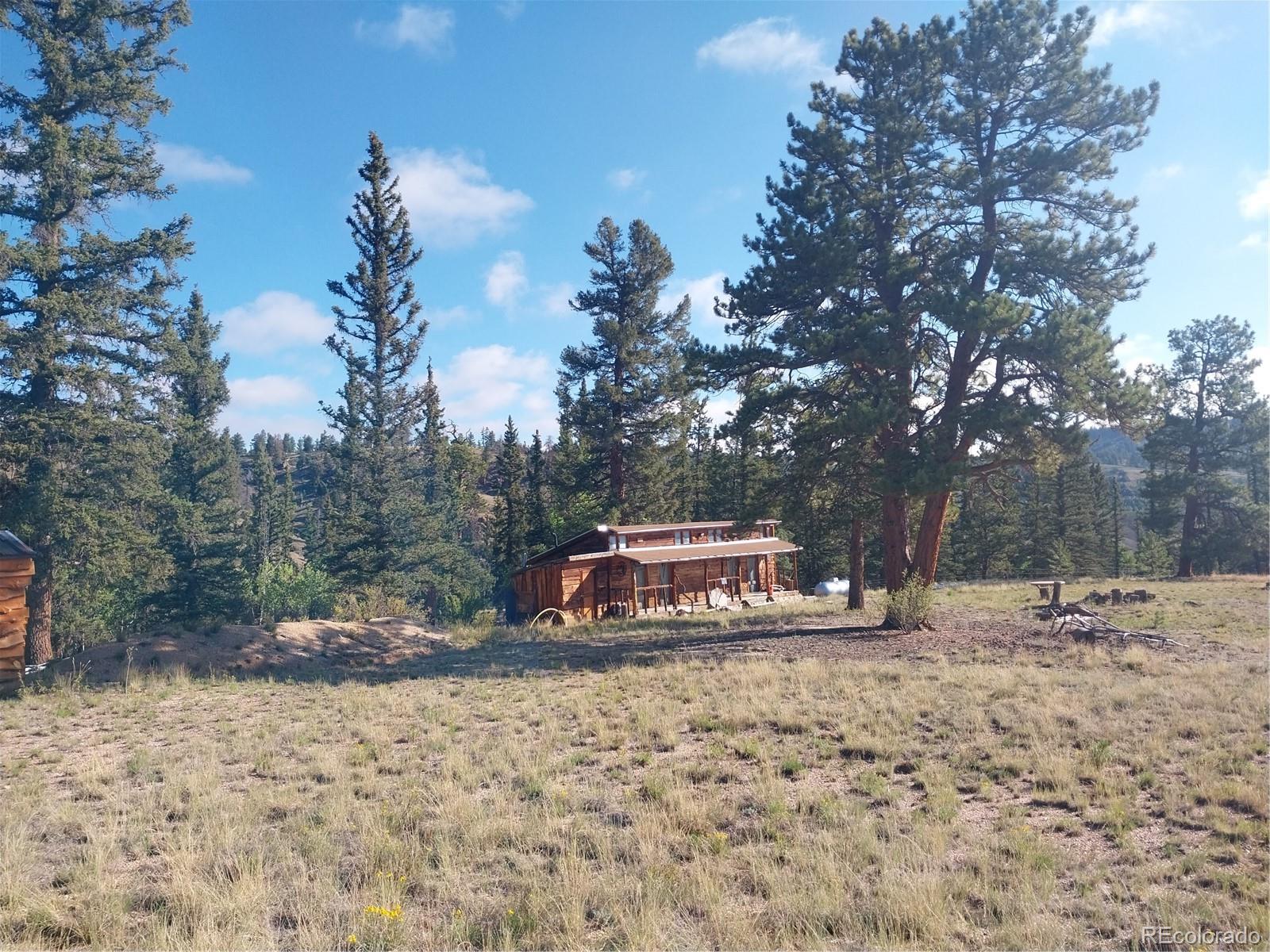 MLS Image #25 for 1167  latigo loop,hartsel, Colorado