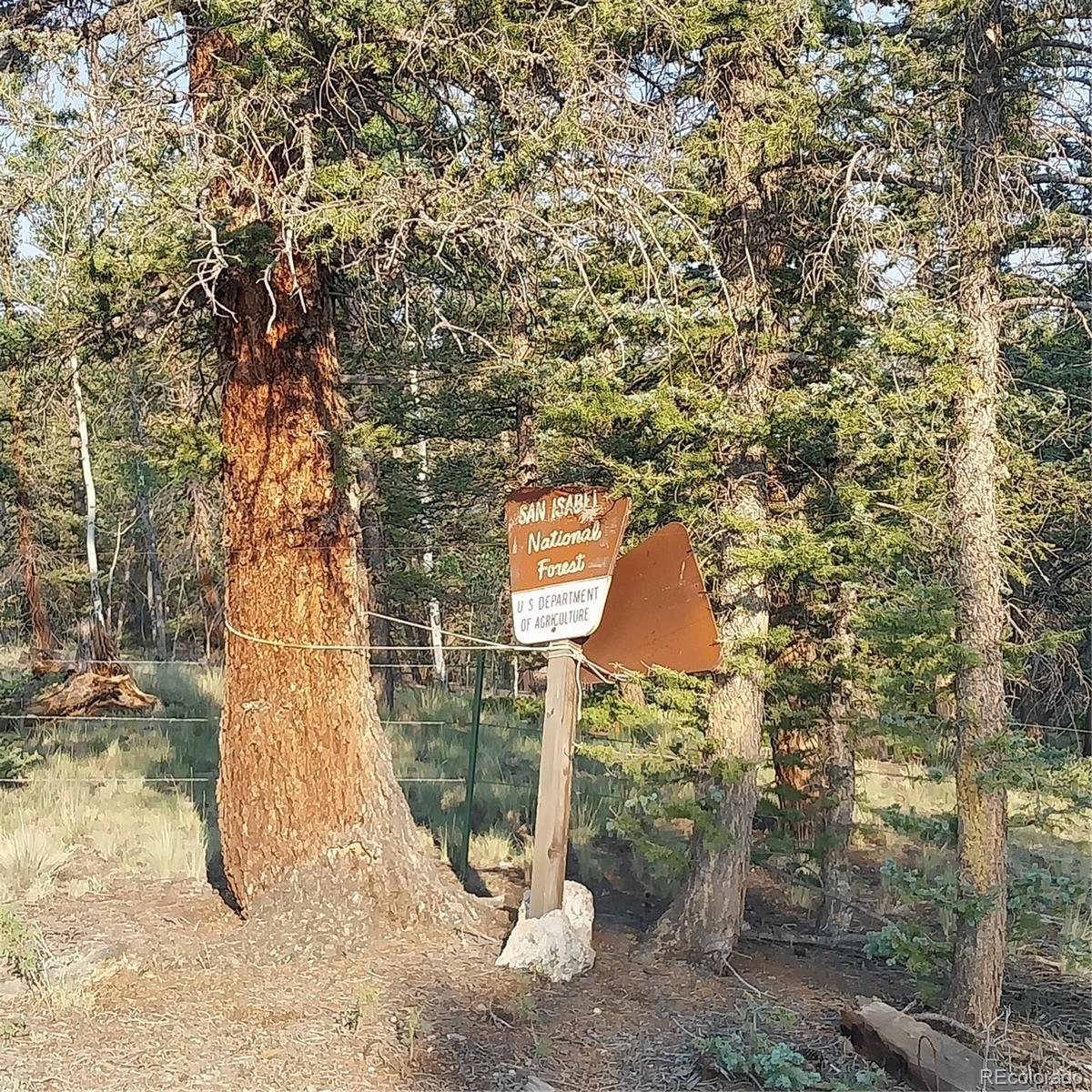 MLS Image #3 for 1167  latigo loop,hartsel, Colorado
