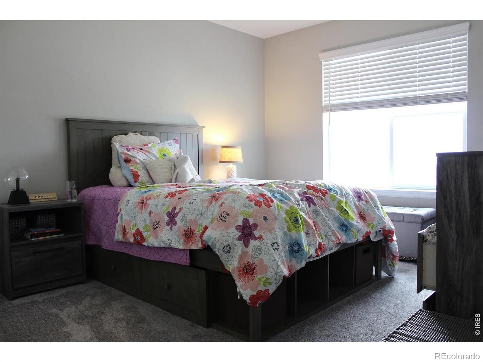 MLS Image #13 for 4541  prairie river court,firestone, Colorado