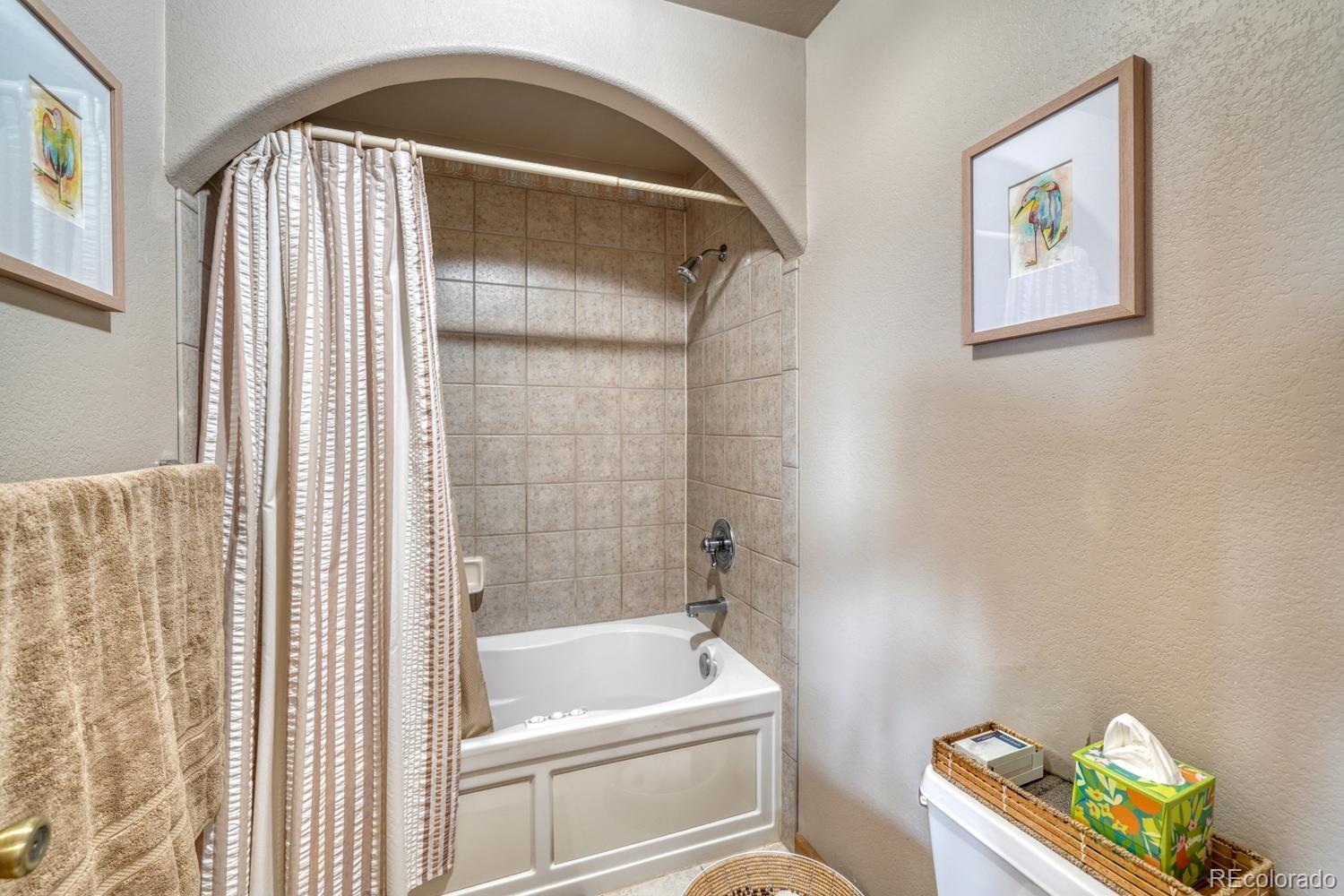 MLS Image #20 for 30917  elk horn way,buena vista, Colorado