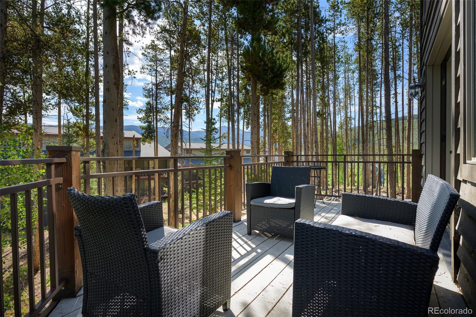 MLS Image #1 for 764  elk trail,winter park, Colorado