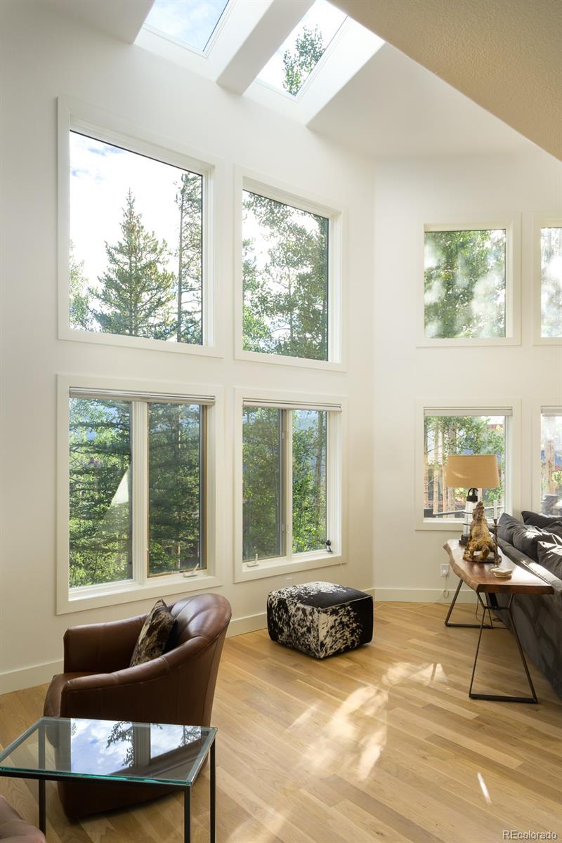 MLS Image #18 for 764  elk trail,winter park, Colorado