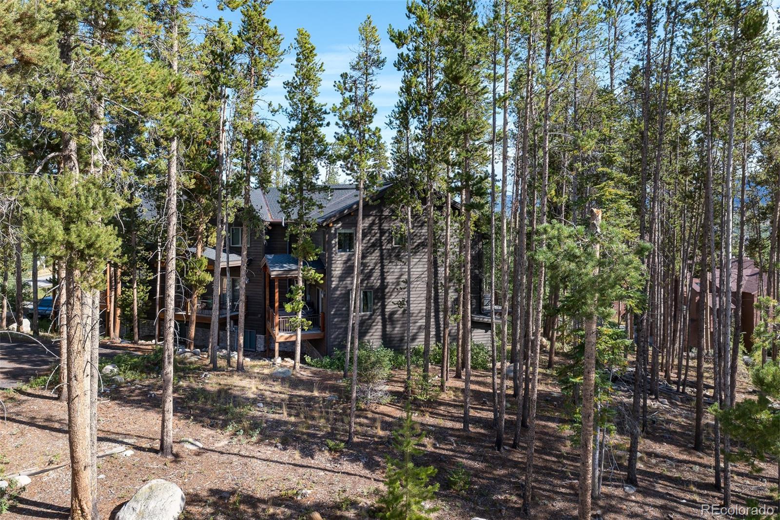 MLS Image #42 for 764  elk trail,winter park, Colorado