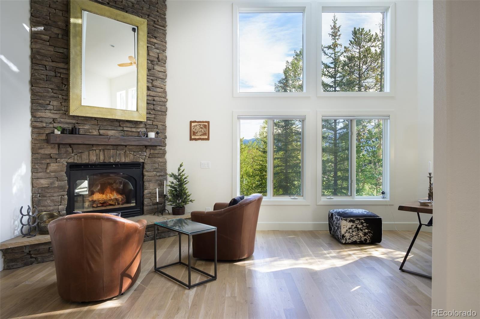 MLS Image #8 for 764  elk trail,winter park, Colorado