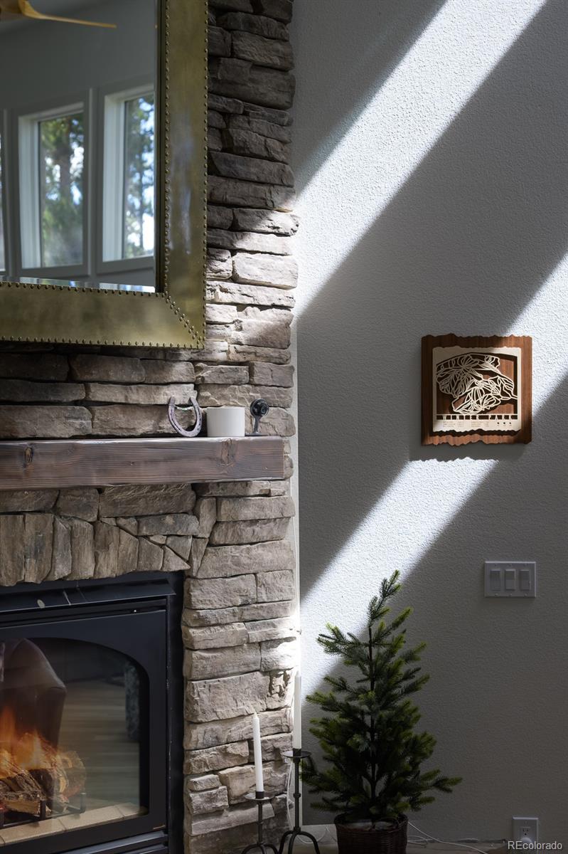 MLS Image #9 for 764  elk trail,winter park, Colorado