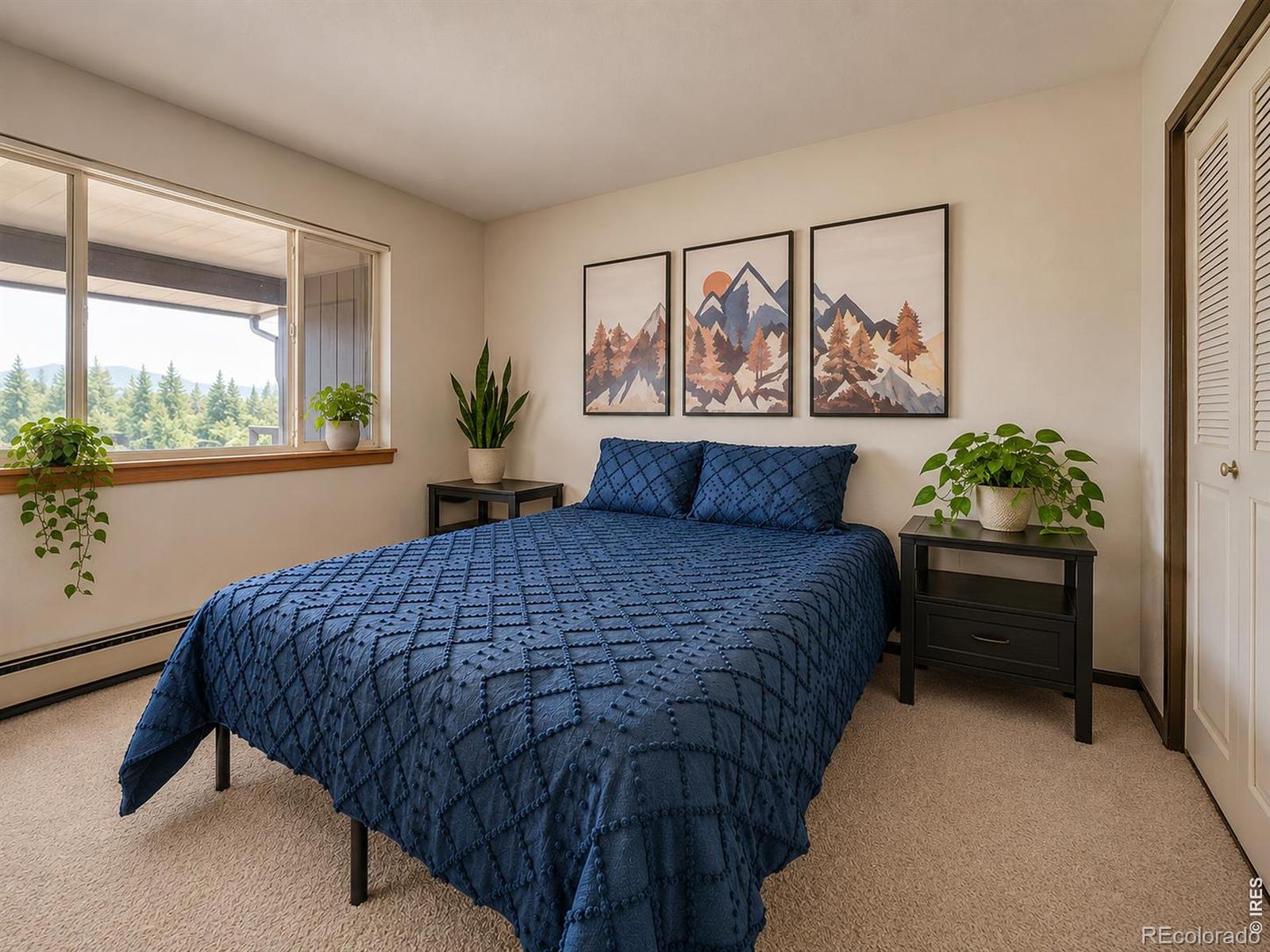 MLS Image #21 for 18  county road 838 ,fraser, Colorado