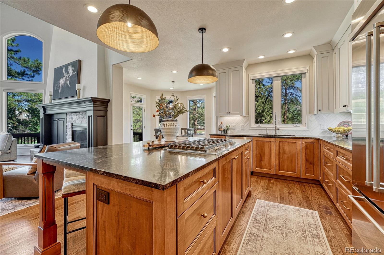 MLS Image #12 for 5389  pinyon jay road,parker, Colorado