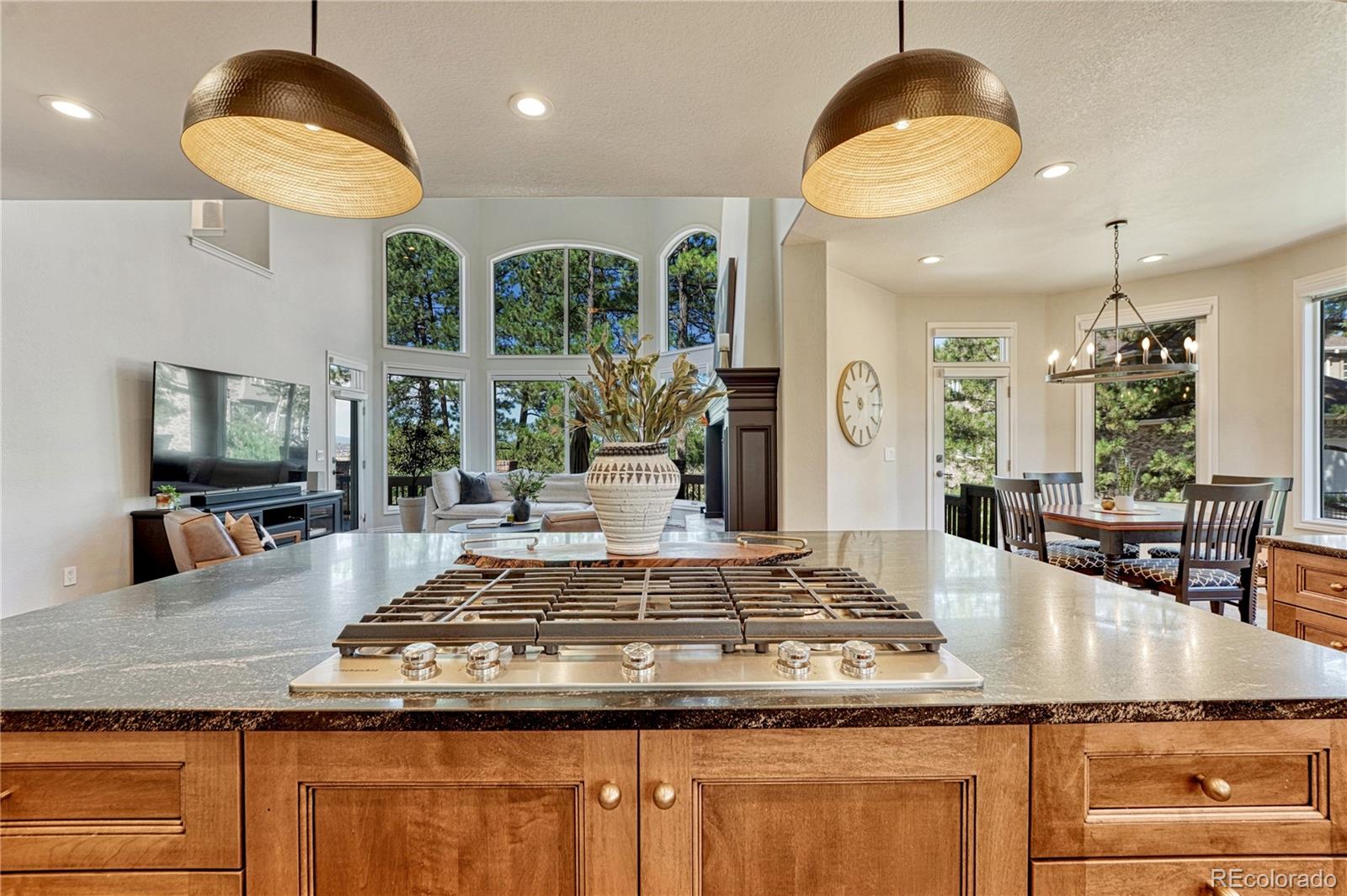 MLS Image #13 for 5389  pinyon jay road,parker, Colorado