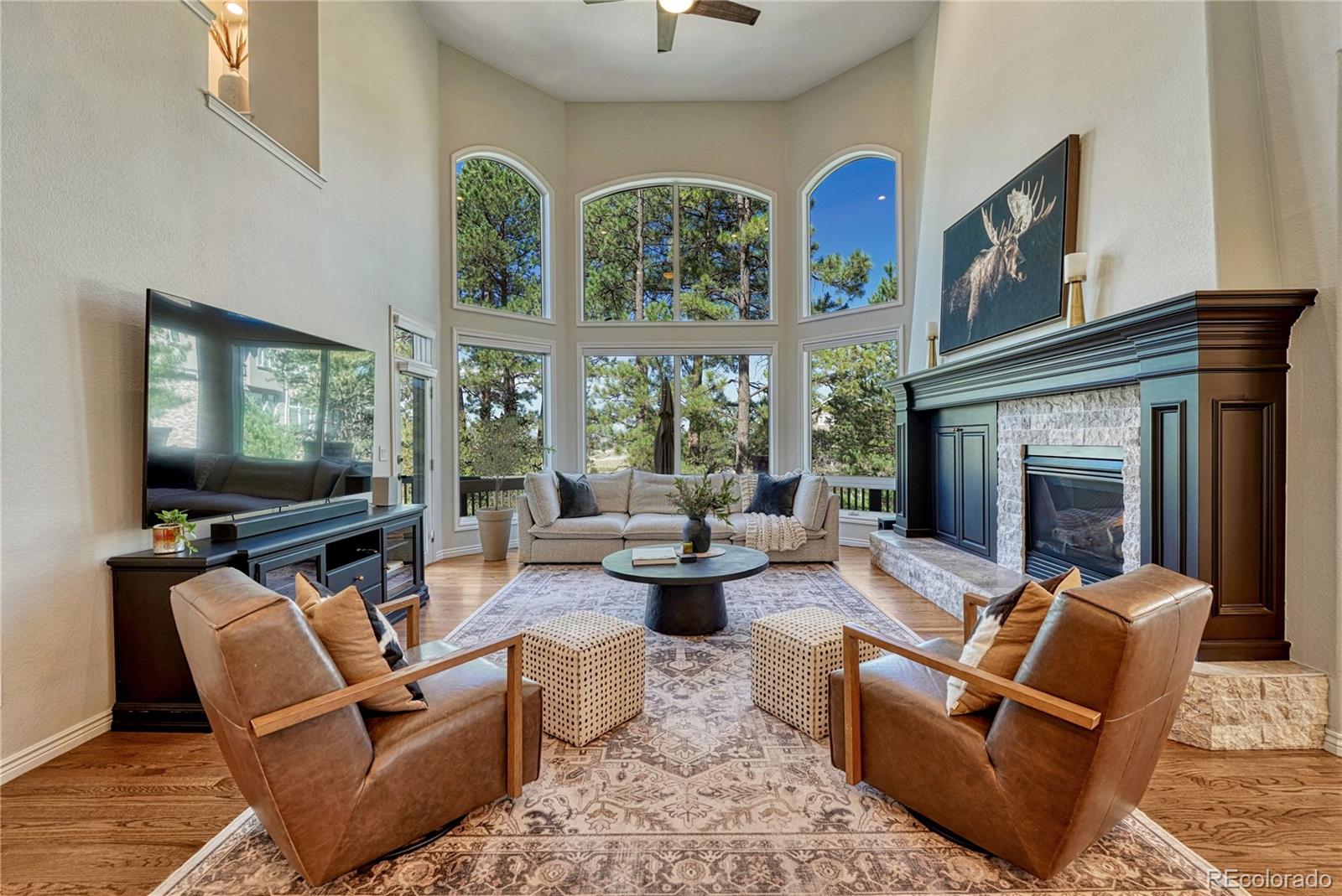 MLS Image #15 for 5389  pinyon jay road,parker, Colorado