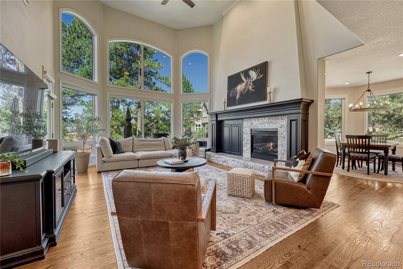 MLS Image #16 for 5389  pinyon jay road,parker, Colorado
