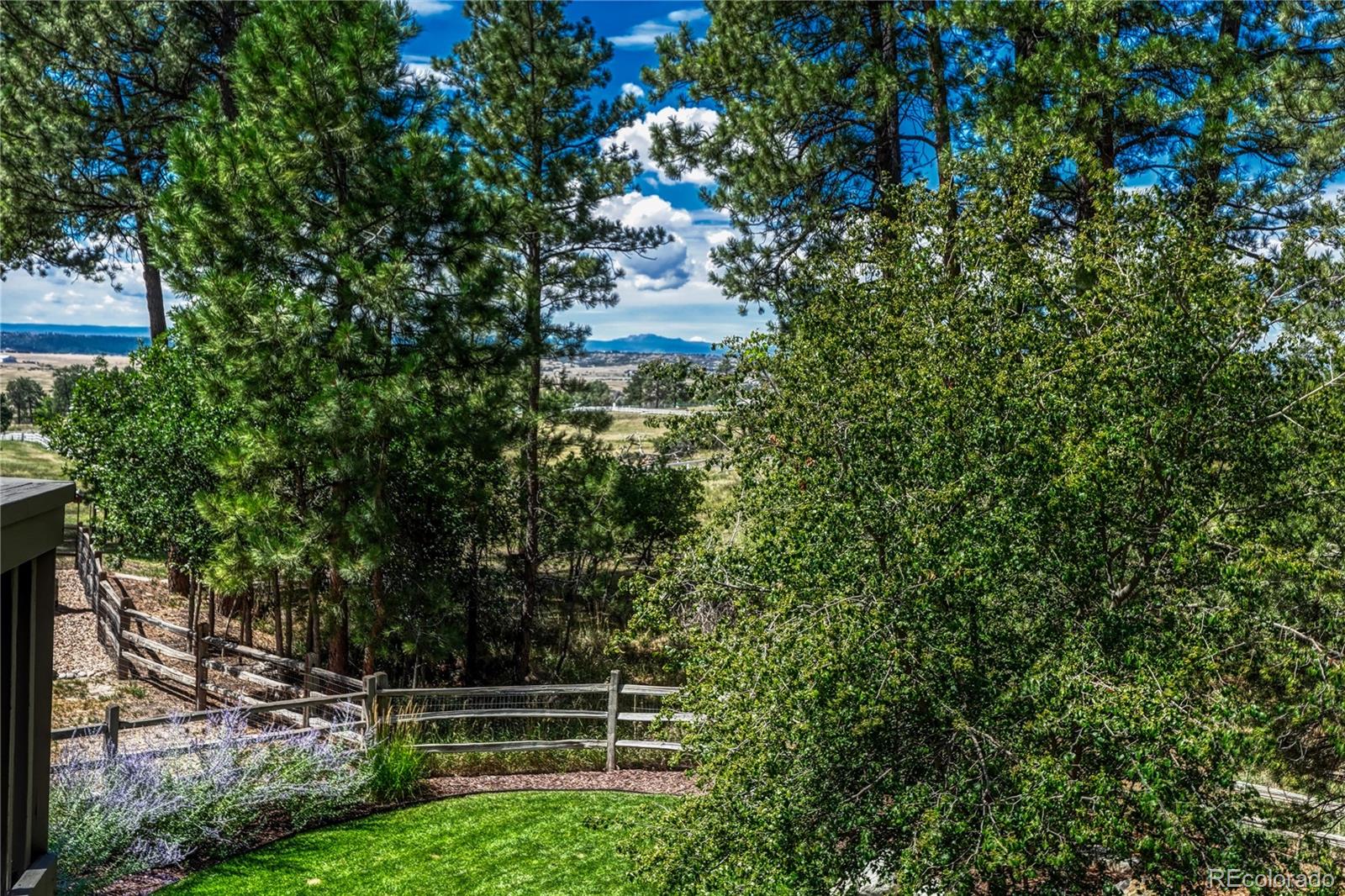 MLS Image #19 for 5389  pinyon jay road,parker, Colorado