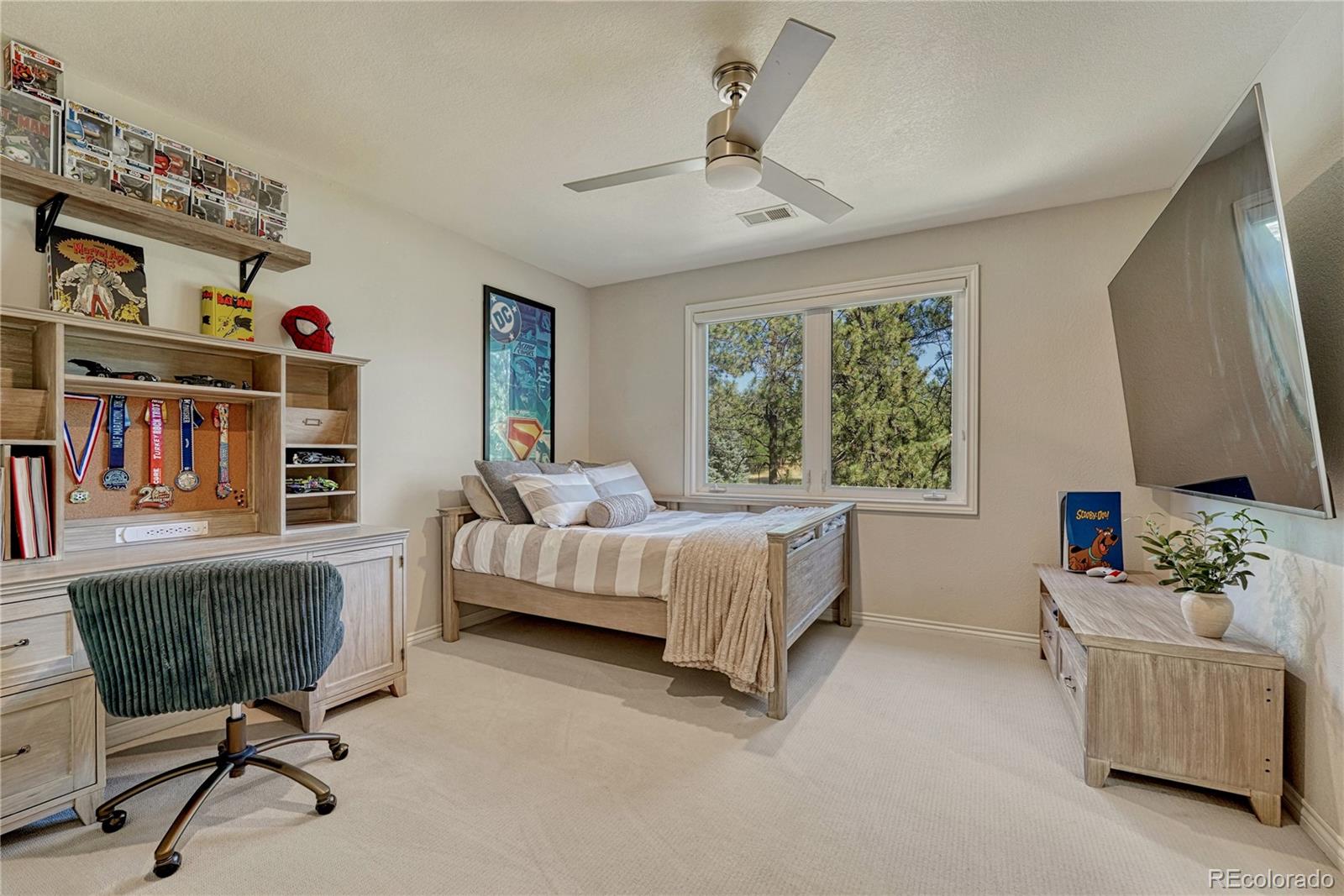 MLS Image #23 for 5389  pinyon jay road,parker, Colorado