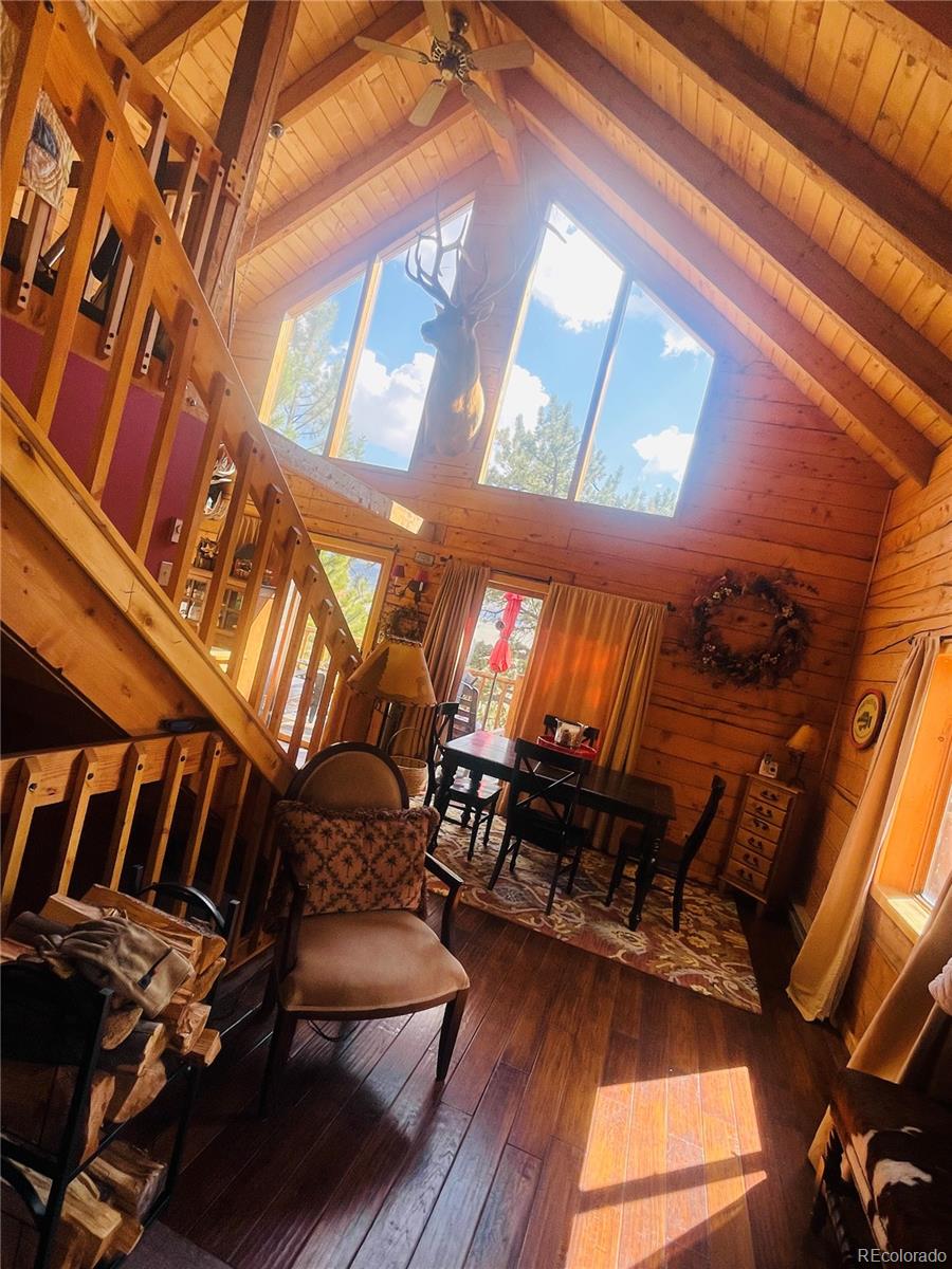 MLS Image #10 for 2578  redhill road,fairplay, Colorado