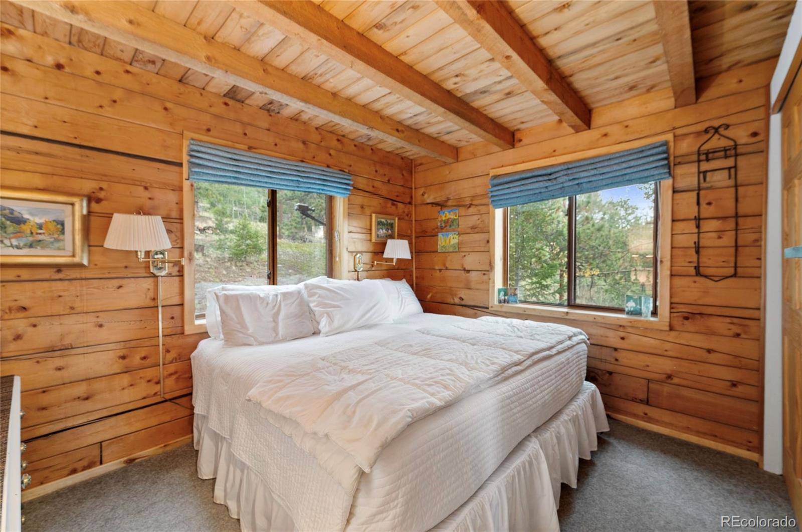 MLS Image #18 for 2578  redhill road,fairplay, Colorado