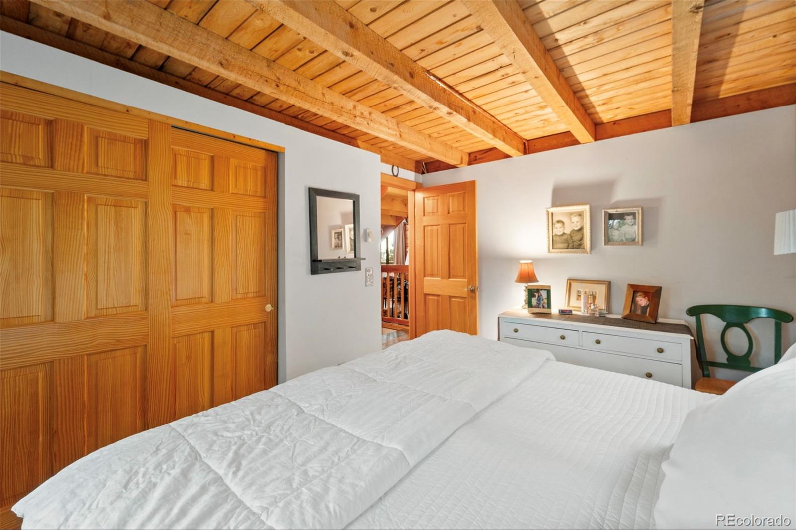 MLS Image #19 for 2578  redhill road,fairplay, Colorado