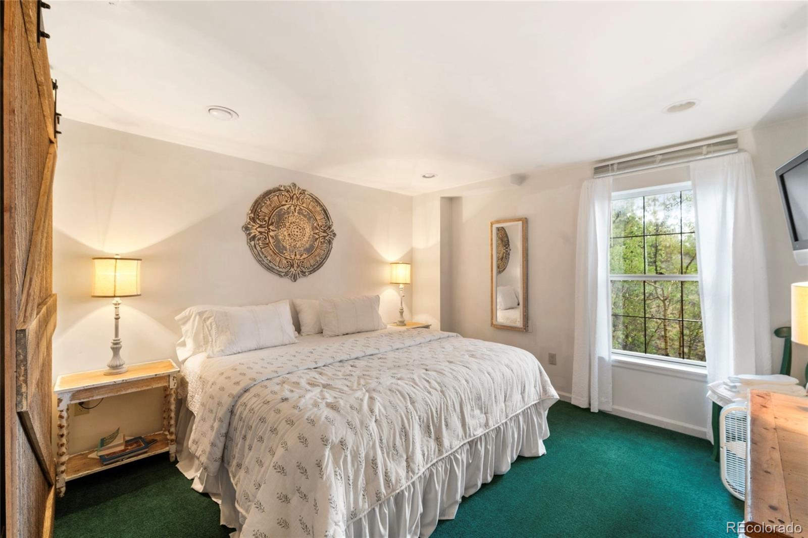MLS Image #24 for 2578  redhill road,fairplay, Colorado