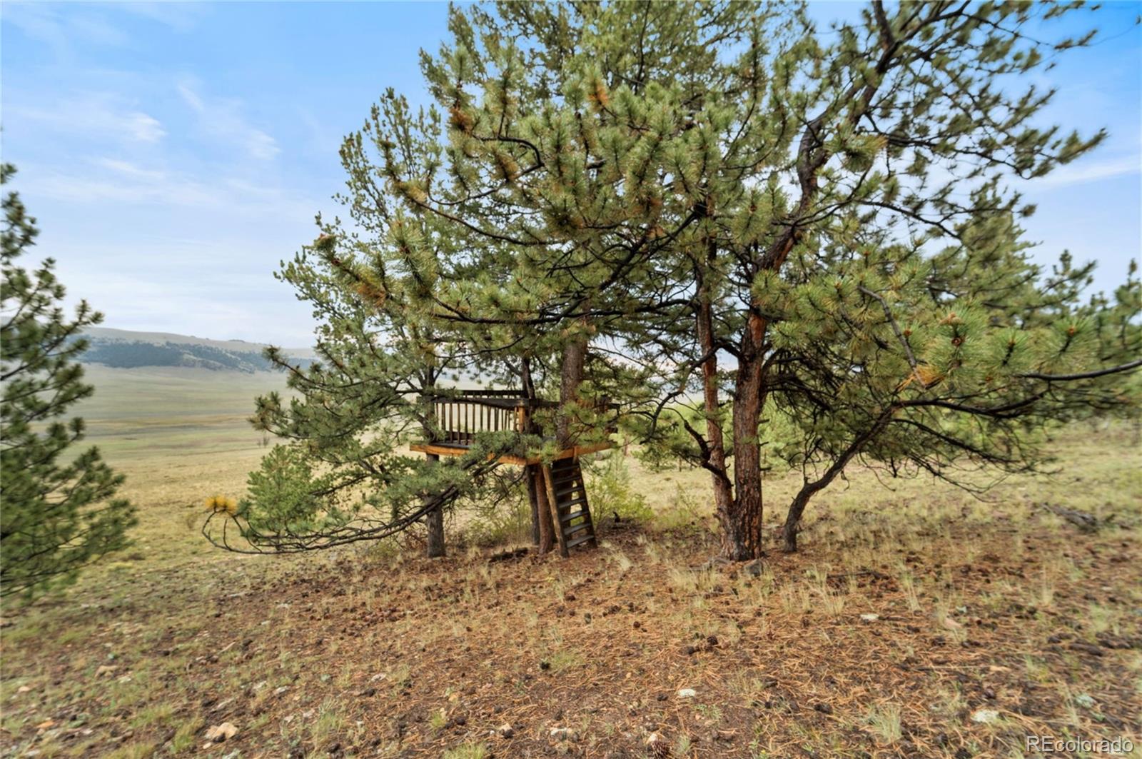 MLS Image #39 for 2578  redhill road,fairplay, Colorado