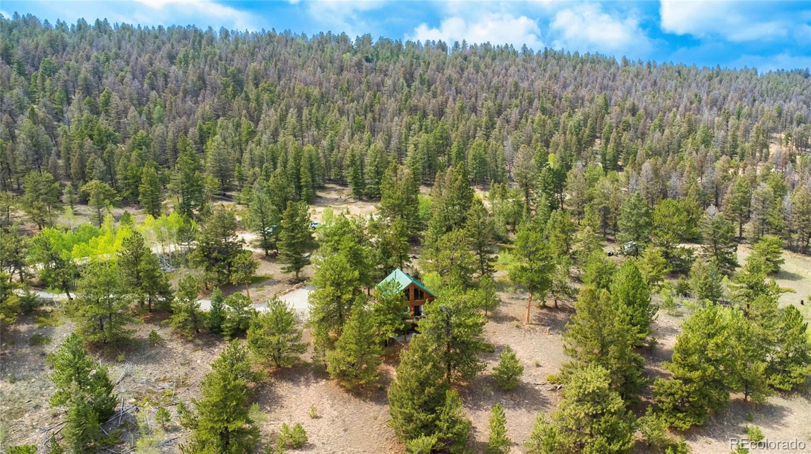 MLS Image #46 for 2578  redhill road,fairplay, Colorado