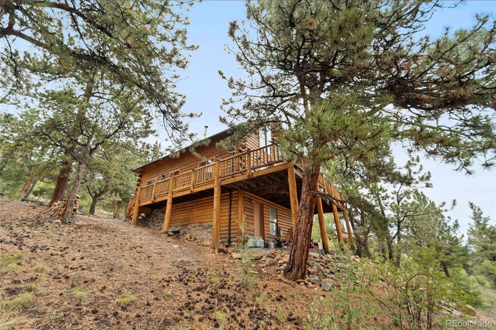 MLS Image #5 for 2578  redhill road,fairplay, Colorado