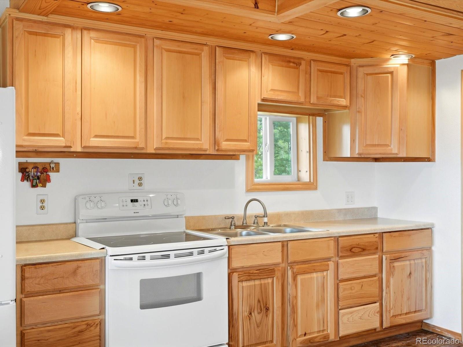 MLS Image #17 for 200  raptor point road,golden, Colorado