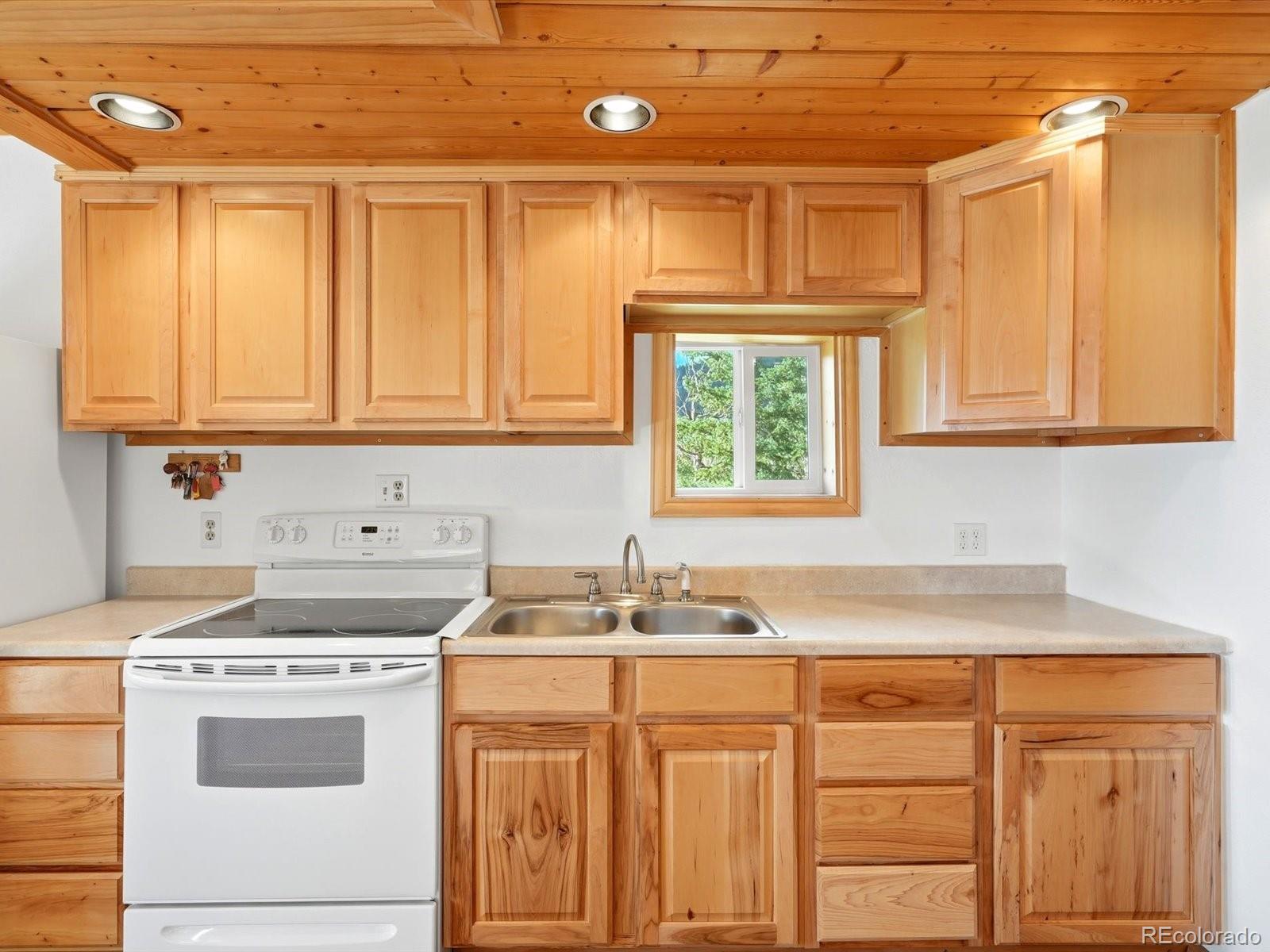 MLS Image #18 for 200  raptor point road,golden, Colorado