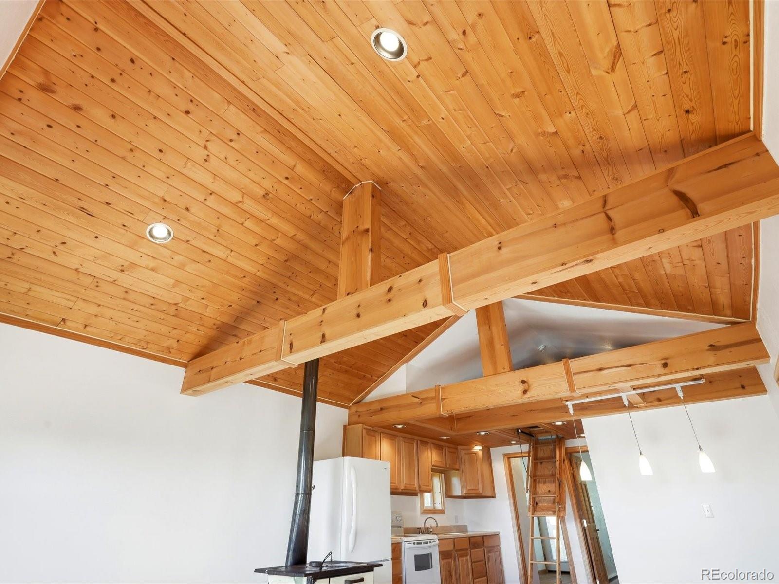 MLS Image #36 for 200  raptor point road,golden, Colorado