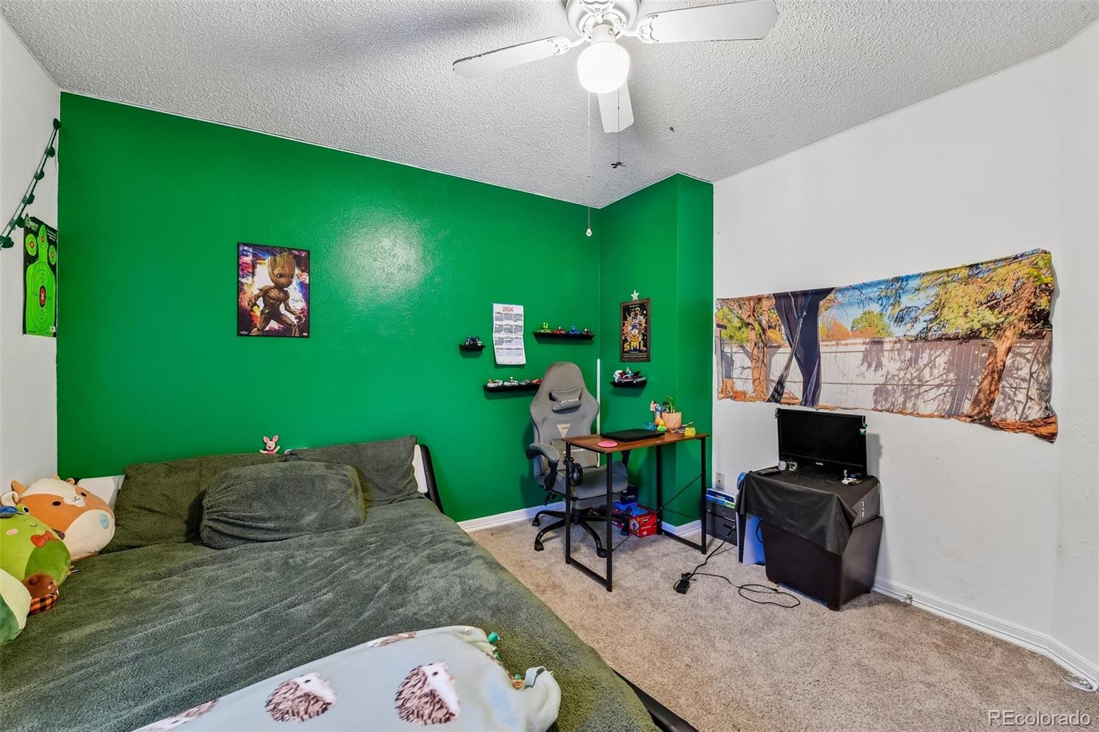 MLS Image #18 for 4502 s pagosa circle,aurora, Colorado