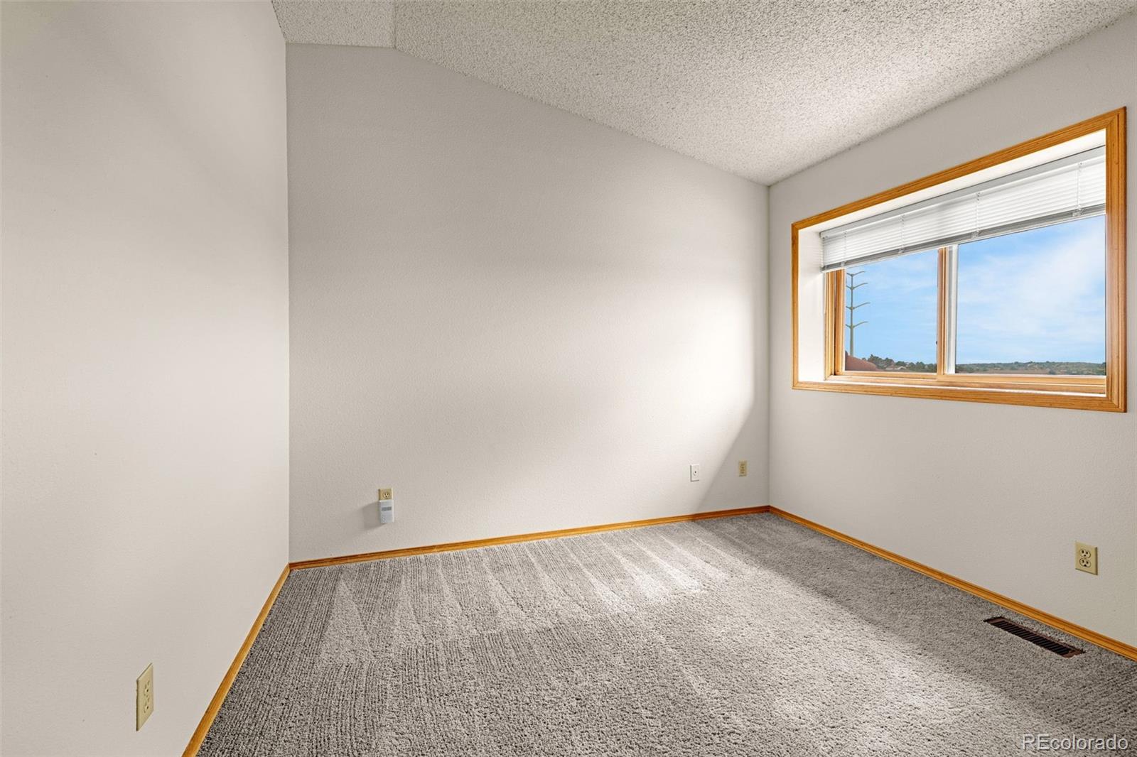 MLS Image #13 for 7448  alameda court,colorado springs, Colorado