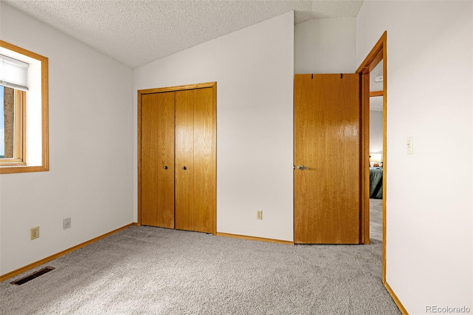 MLS Image #14 for 7448  alameda court,colorado springs, Colorado