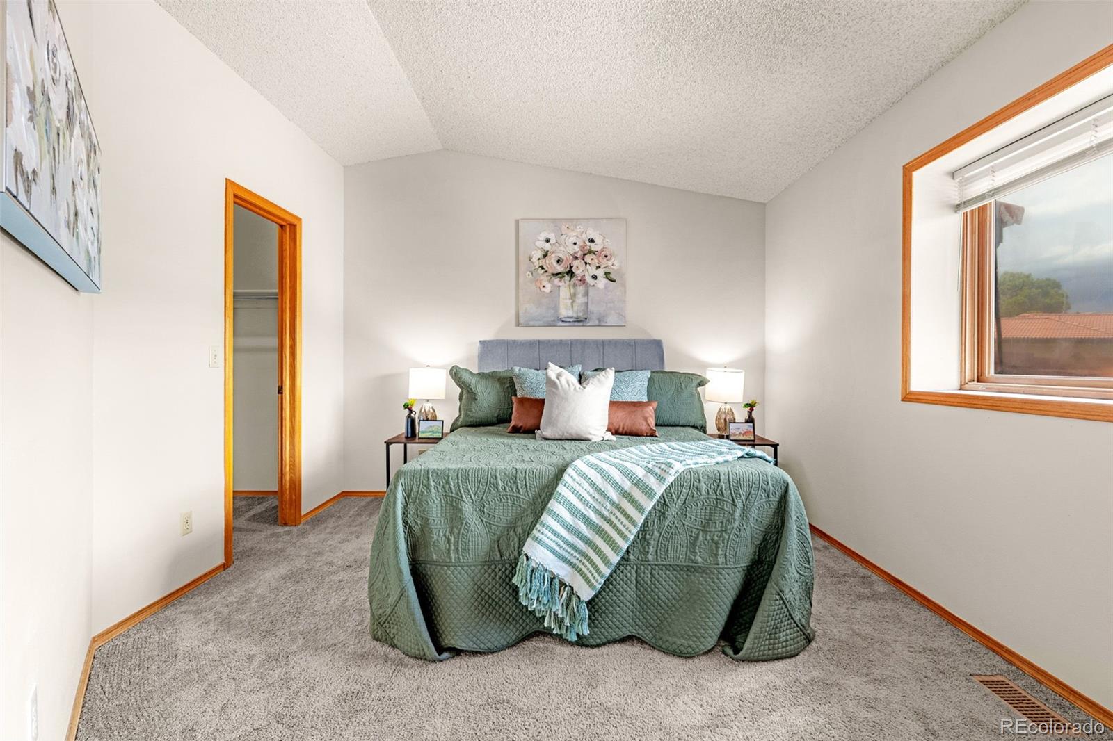 MLS Image #19 for 7448  alameda court,colorado springs, Colorado