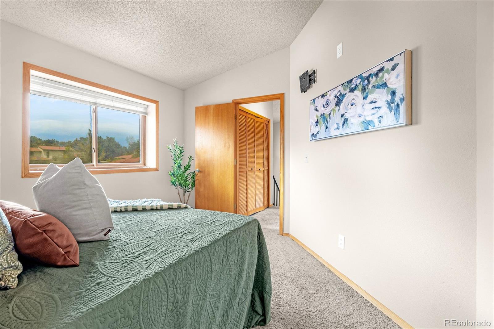 MLS Image #20 for 7448  alameda court,colorado springs, Colorado
