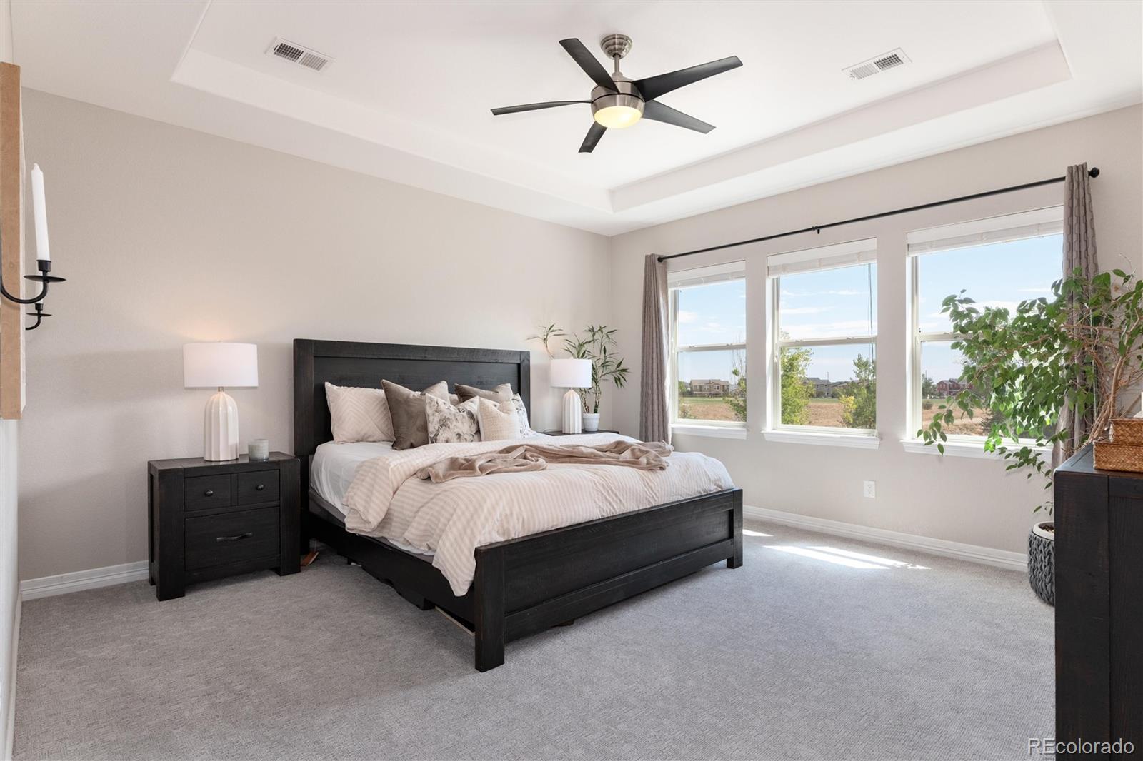 MLS Image #18 for 16612  compass way,broomfield, Colorado